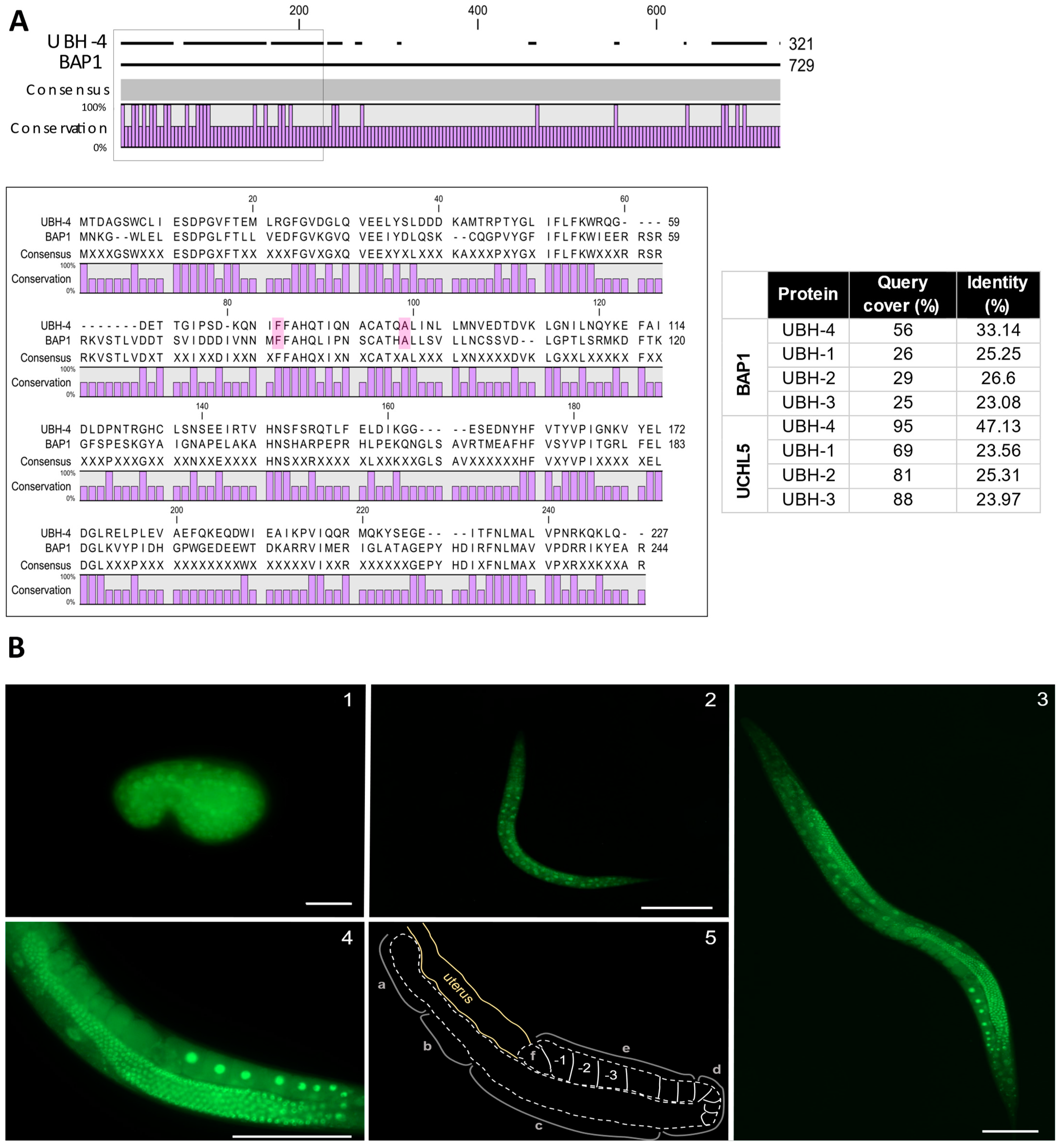 Cells 12 00929 g001 Cells 12 00929 g001