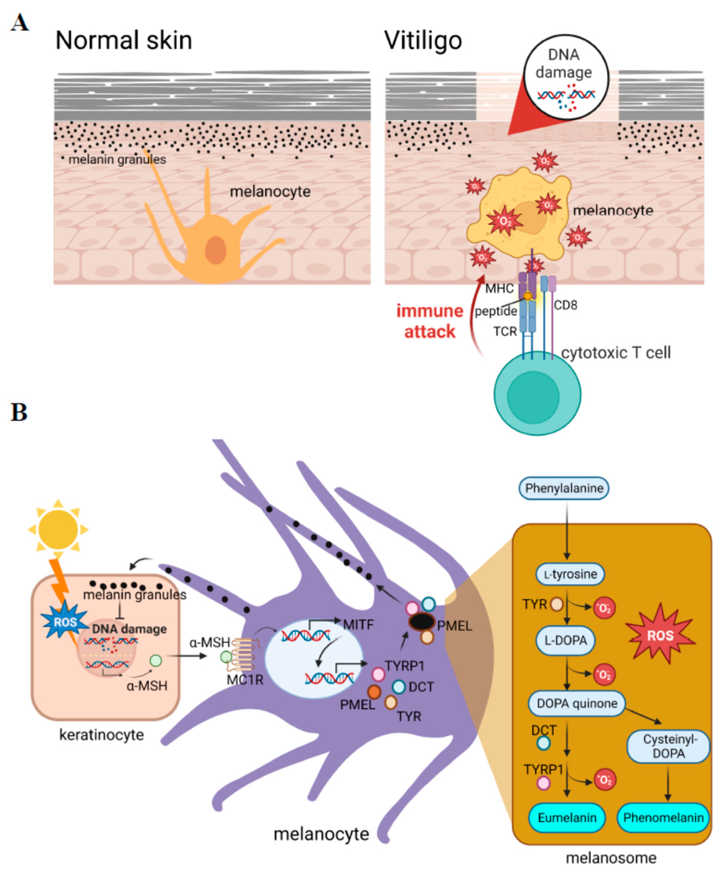 Cells 12 00936 g001 Cells 12 00936 g001