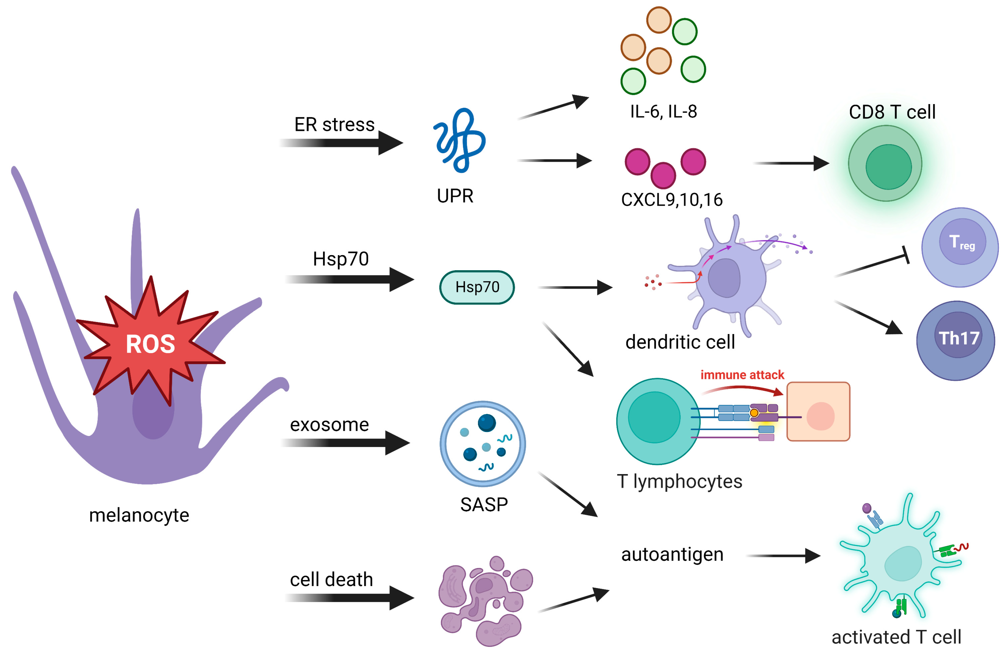 Cells 12 00936 g002 Cells 12 00936 g002