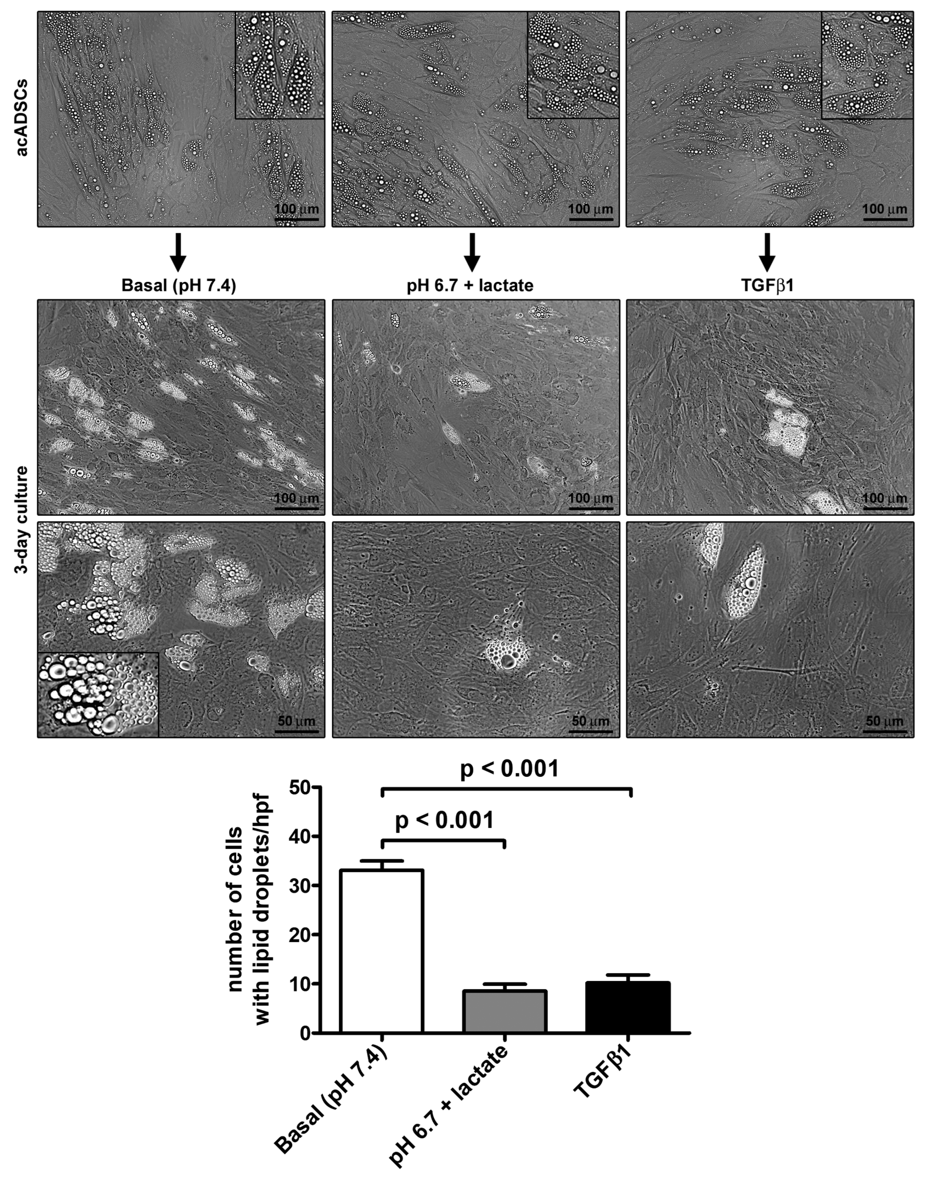 Cells 12 00939 g001 Cells 12 00939 g001