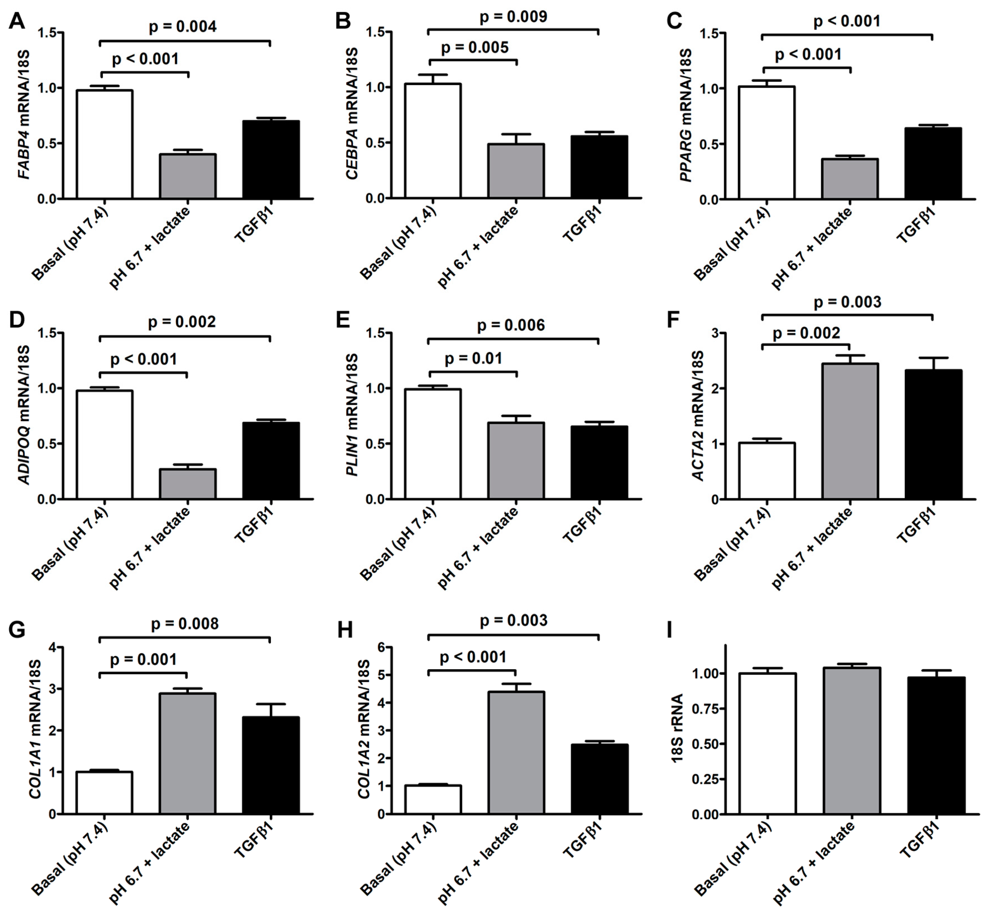 Cells 12 00939 g003 Cells 12 00939 g003