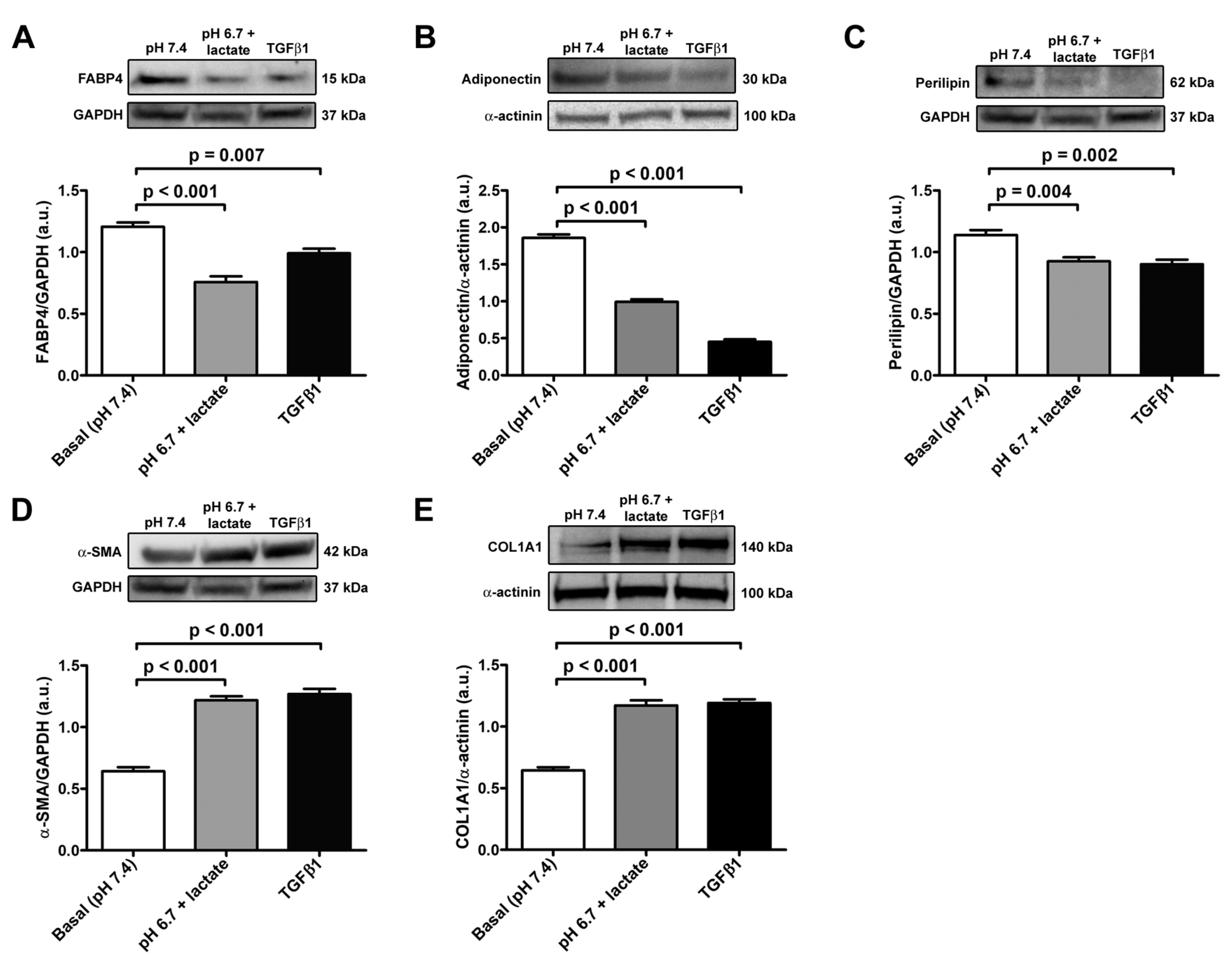Cells 12 00939 g004 Cells 12 00939 g004