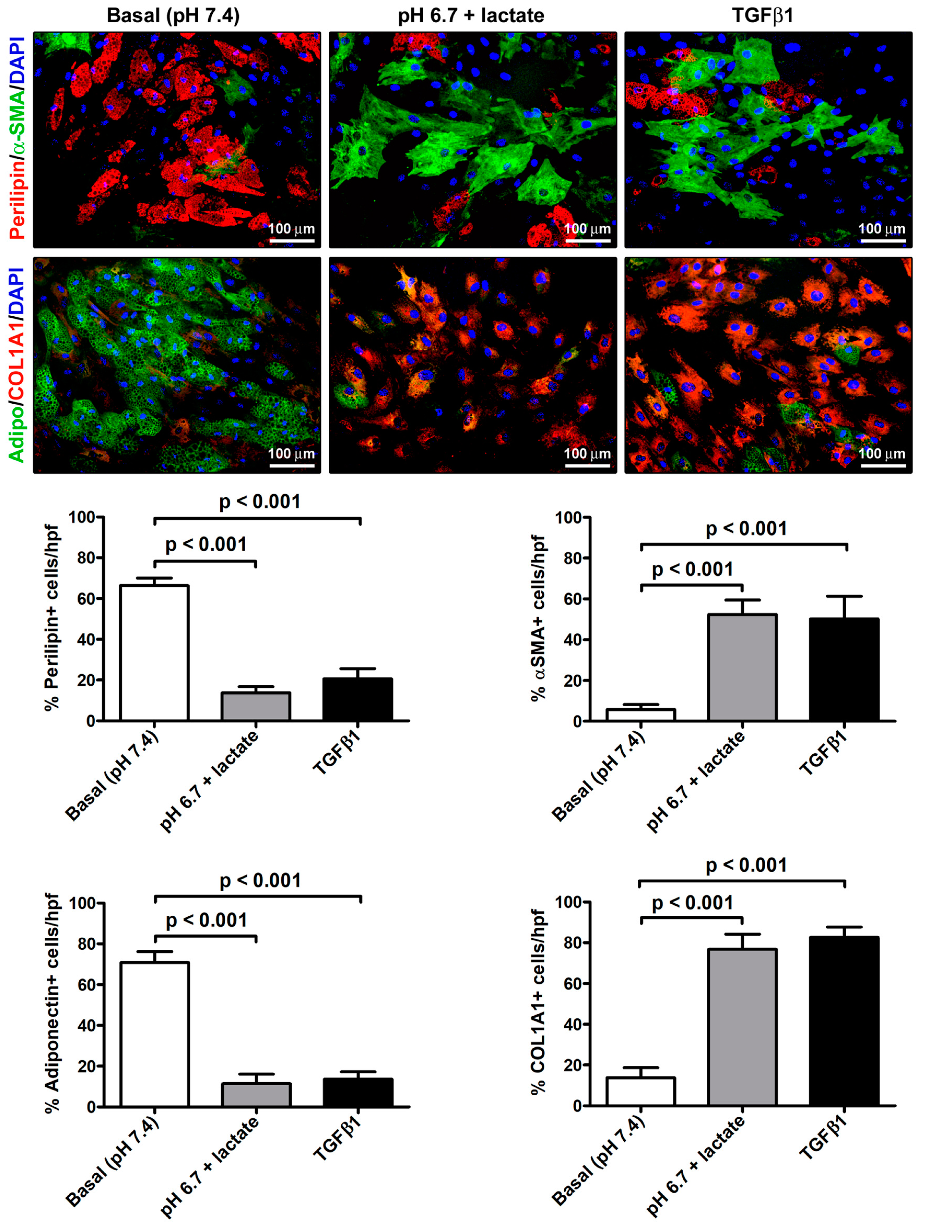 Cells 12 00939 g005 Cells 12 00939 g005