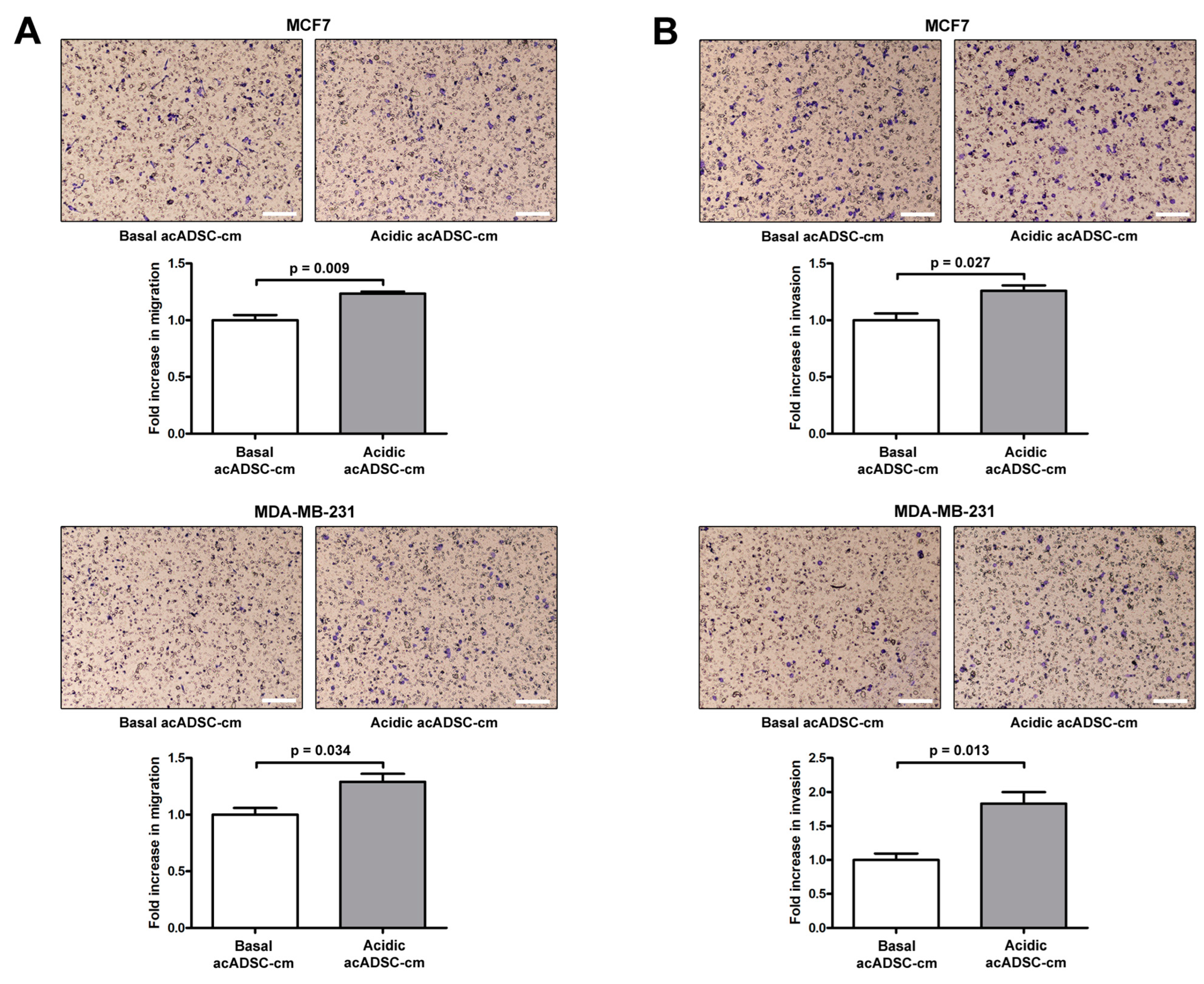 Cells 12 00939 g009 Cells 12 00939 g009