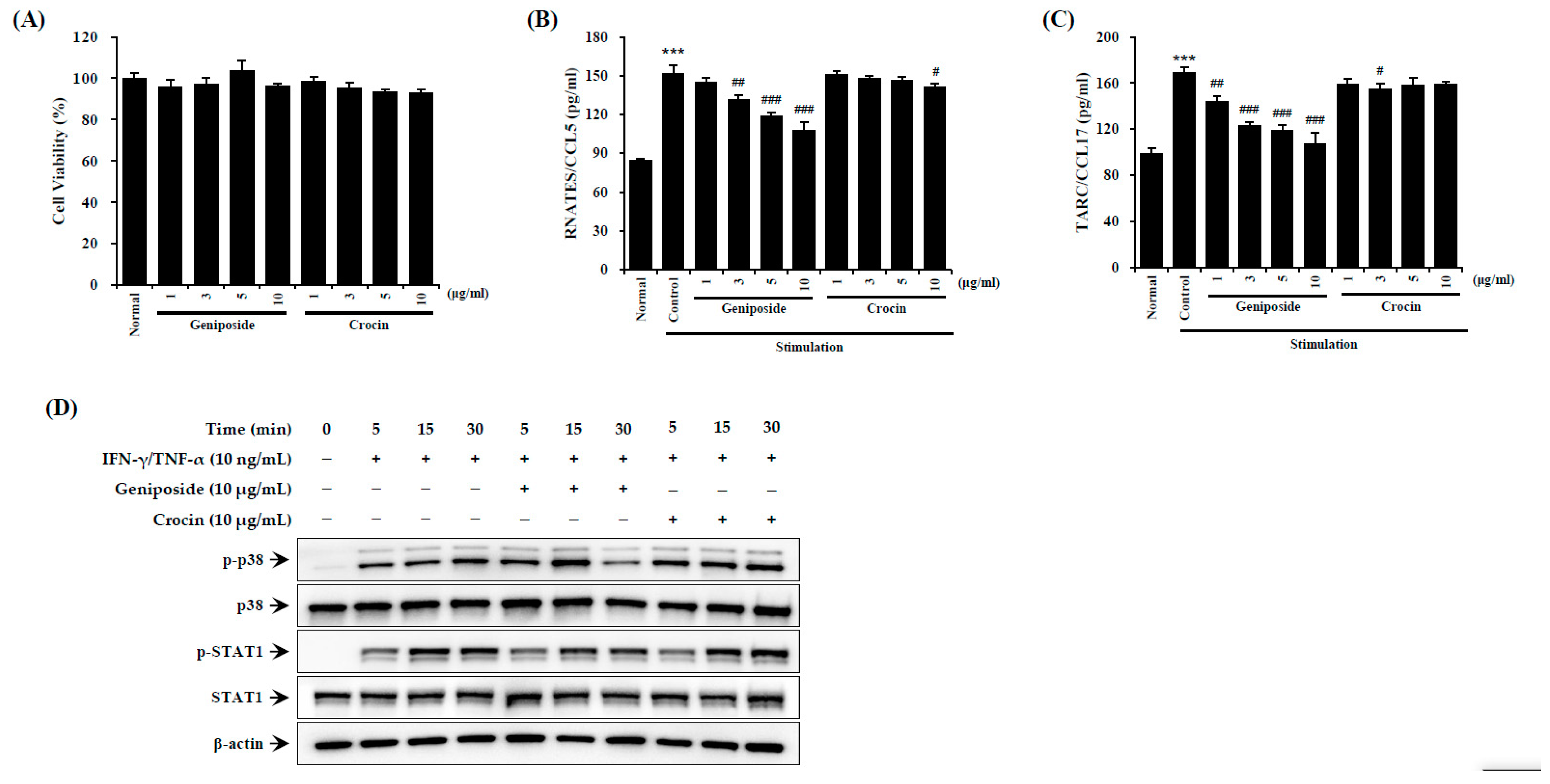 Cells 12 00941 g007 Cells 12 00941 g007