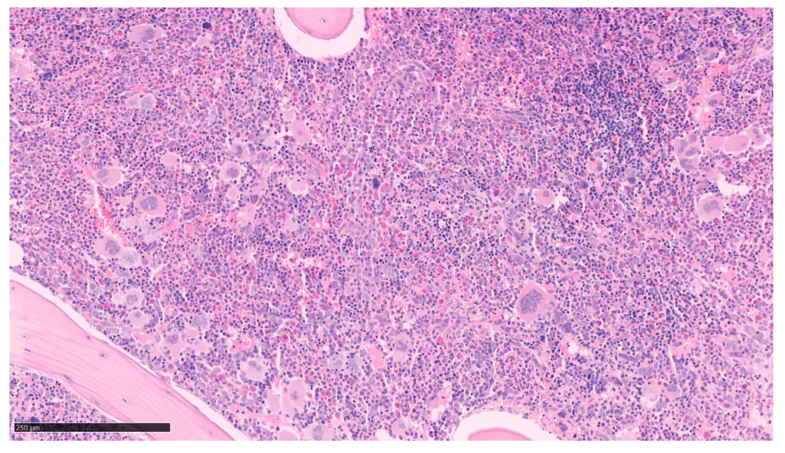 Cells 12 00946 g001 Cells 12 00946 g001