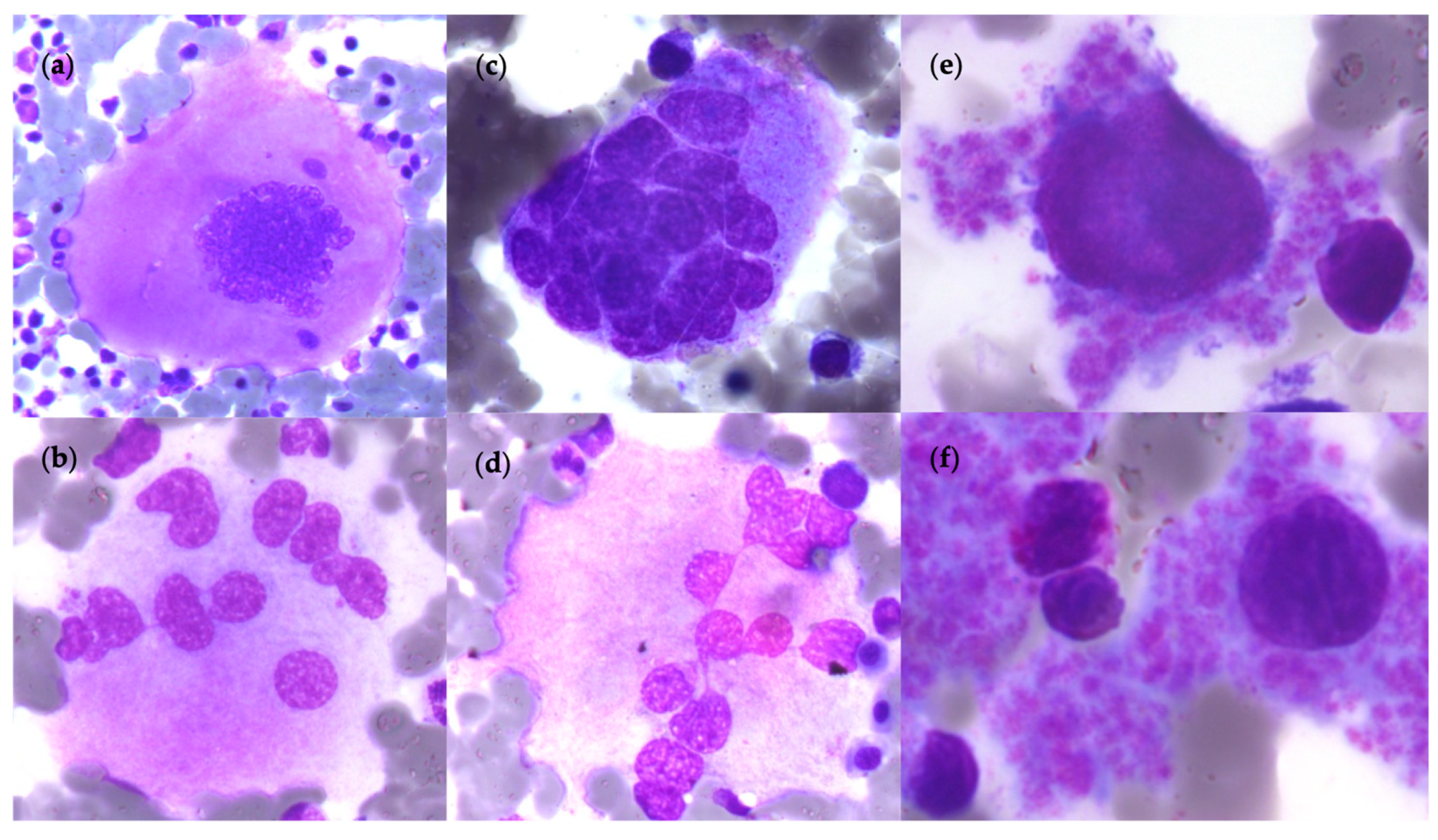 Cells 12 00946 g006 Cells 12 00946 g006