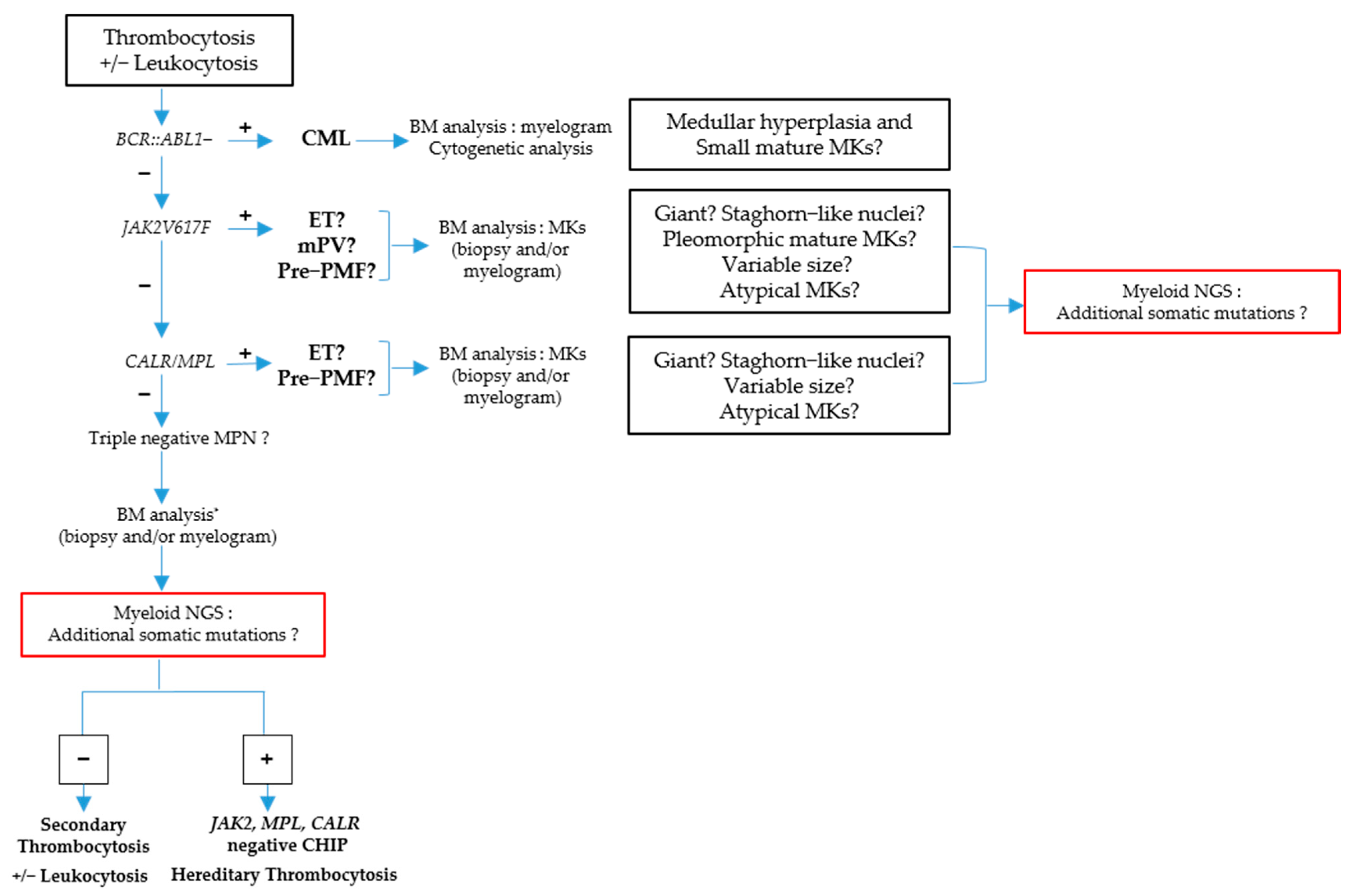 Cells 12 00946 g008 Cells 12 00946 g008