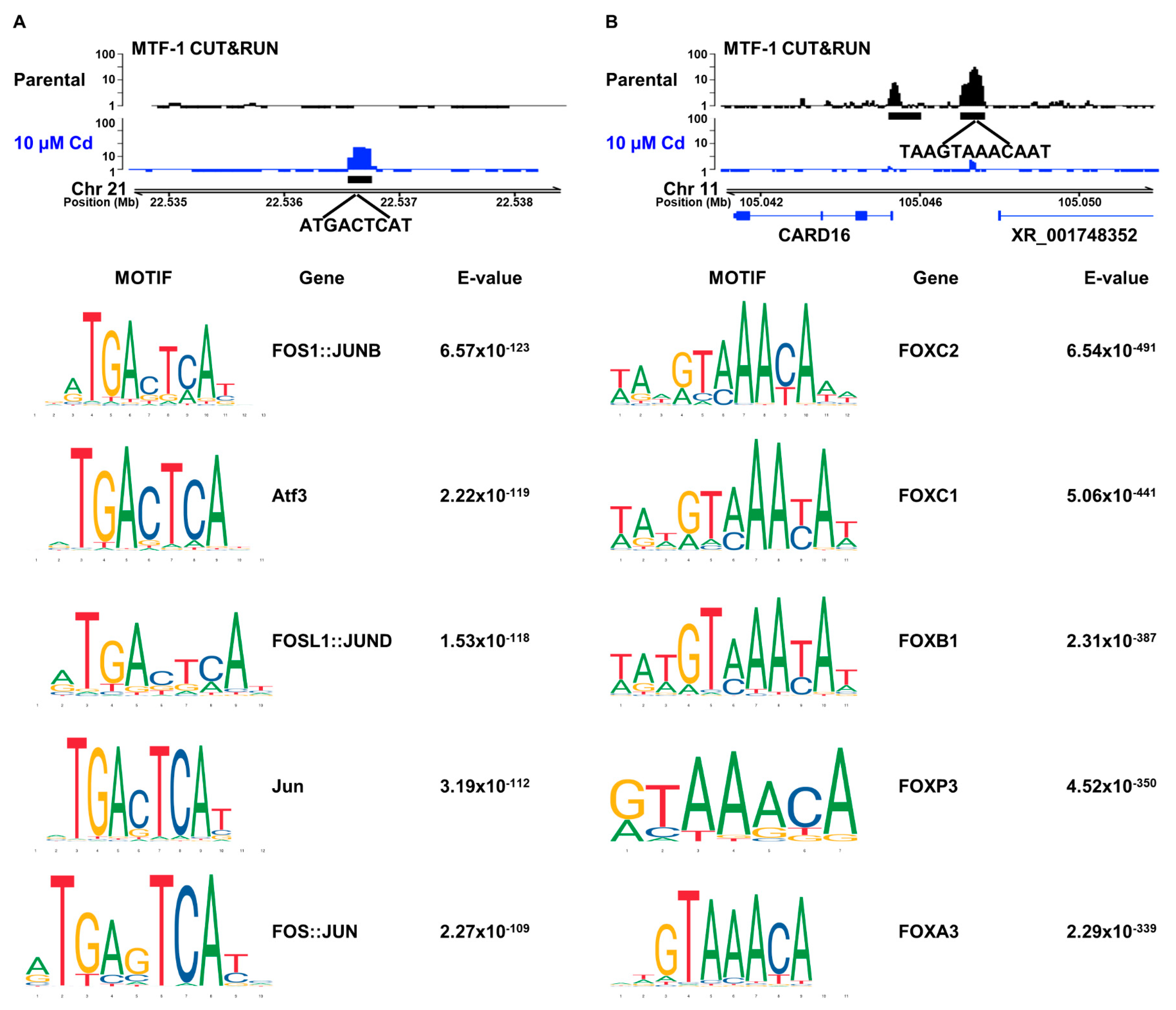 Cells 12 00953 g002 Cells 12 00953 g002