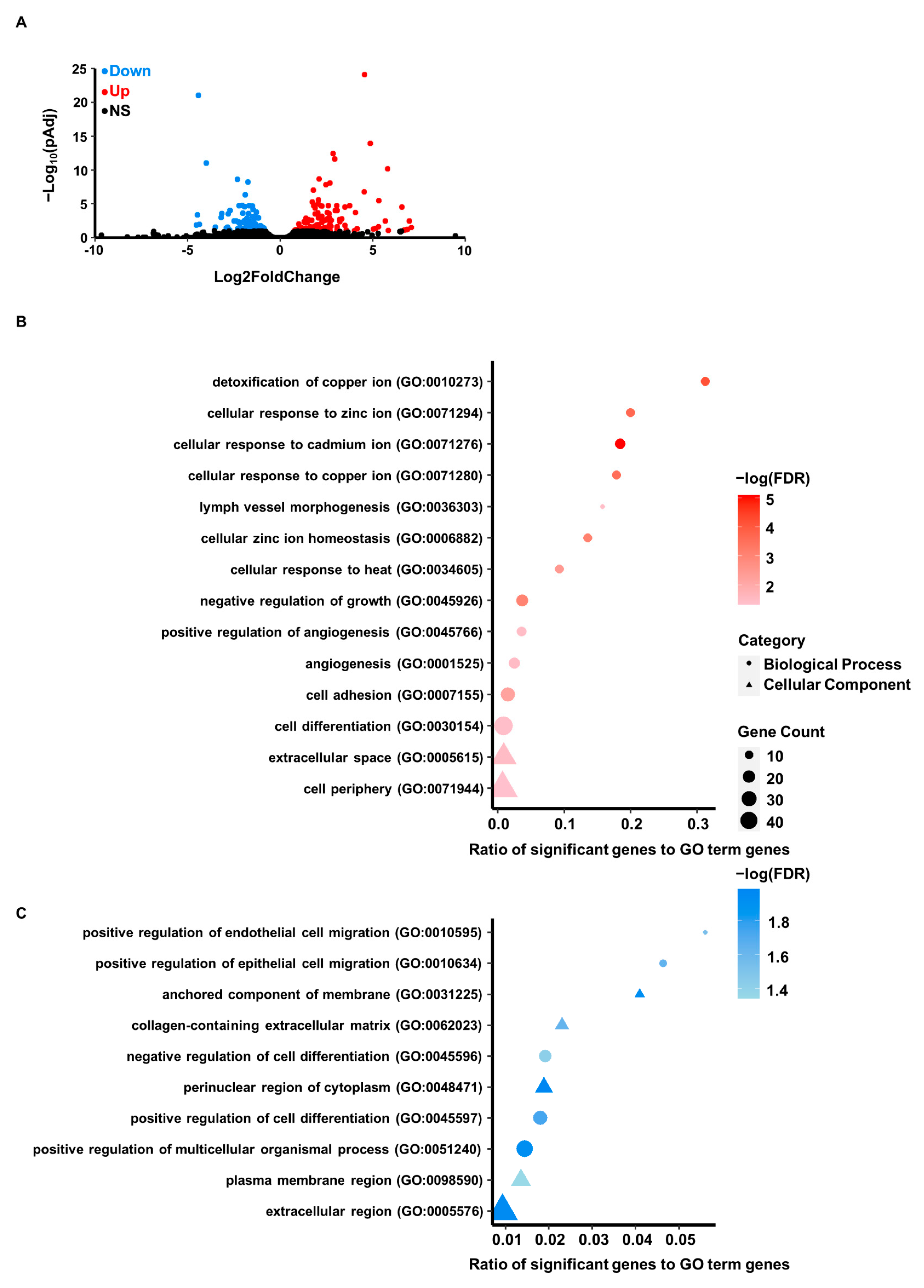 Cells 12 00953 g003 Cells 12 00953 g003