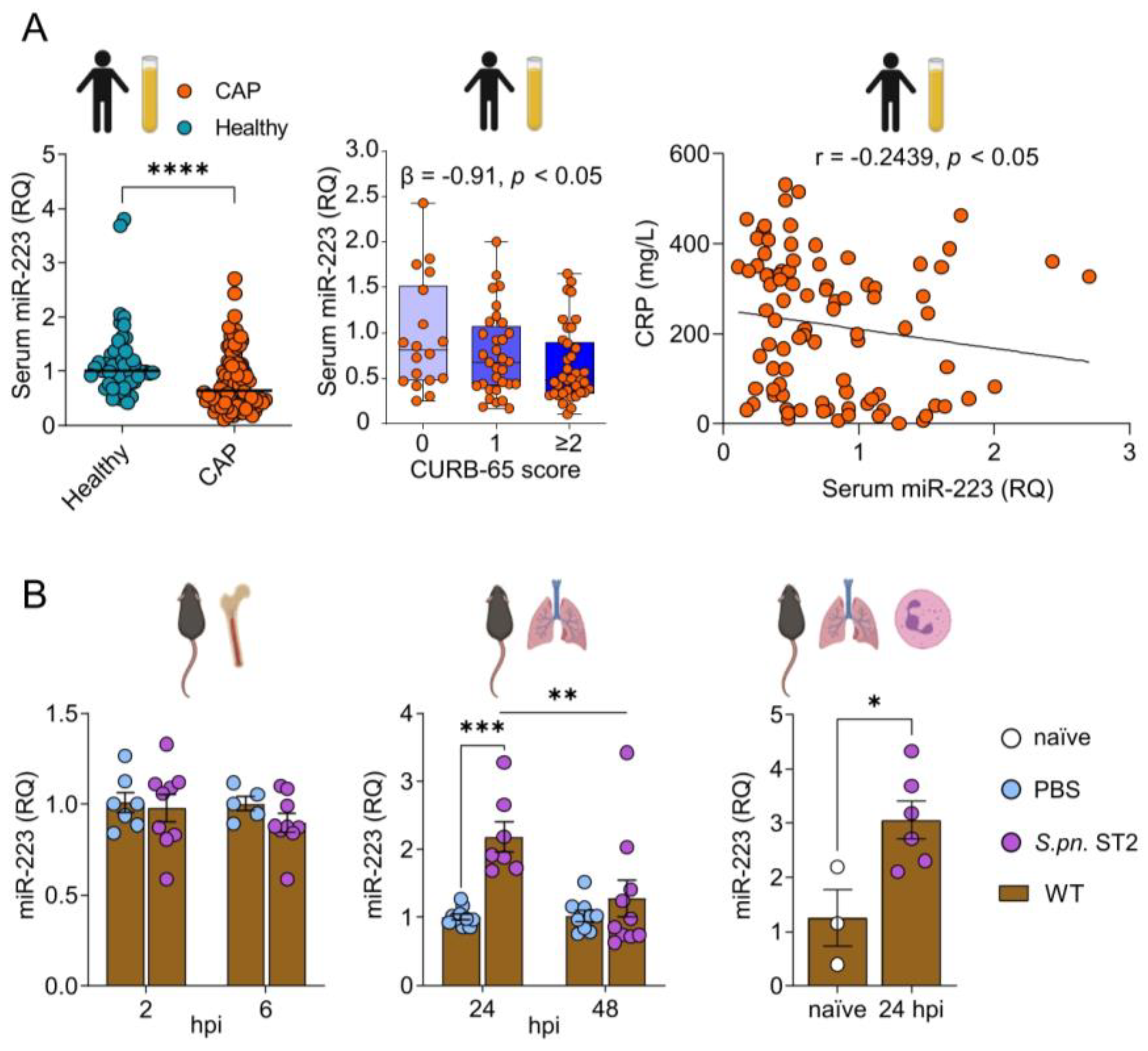 Cells 12 00959 g001 Cells 12 00959 g001