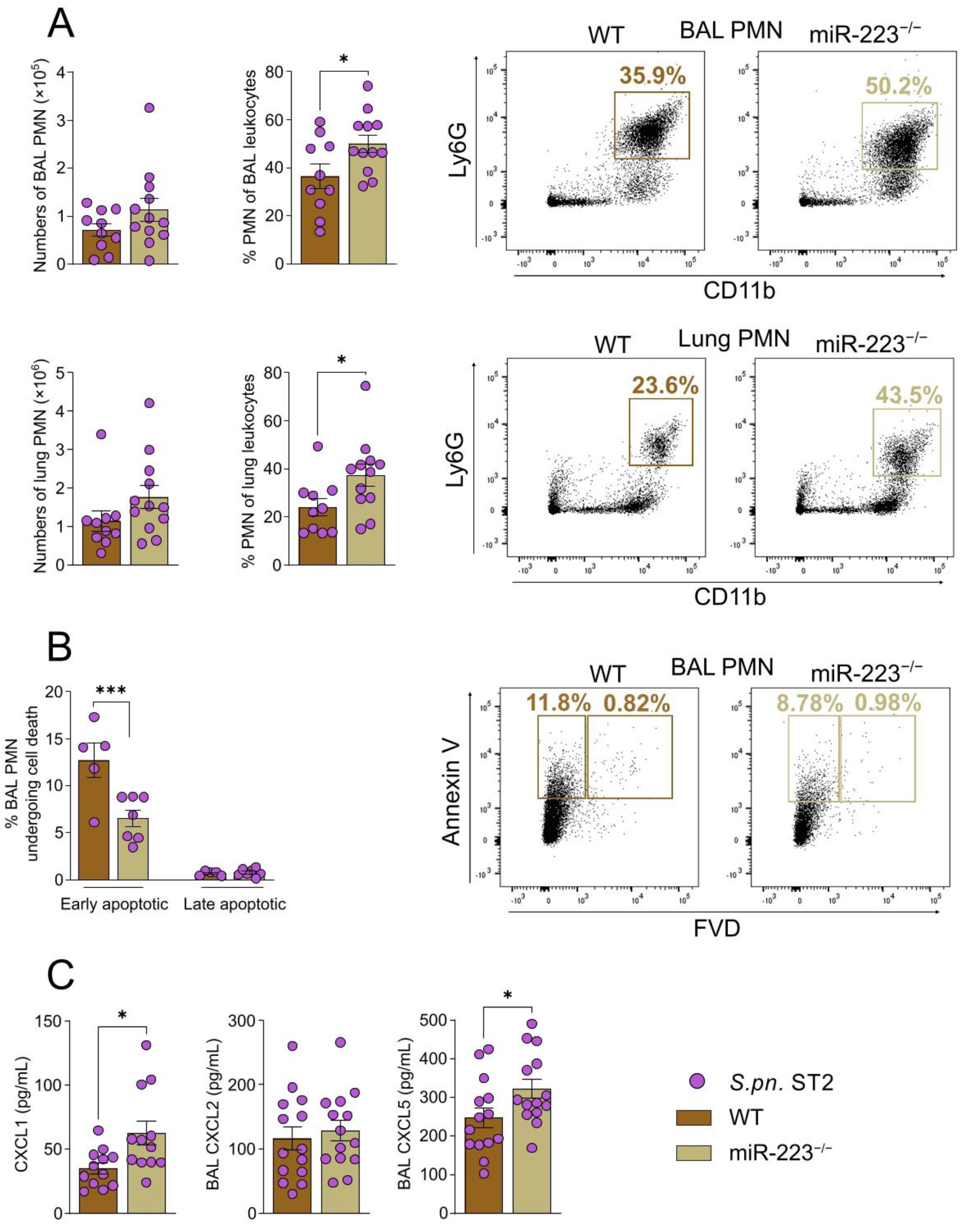 Cells 12 00959 g003 Cells 12 00959 g003