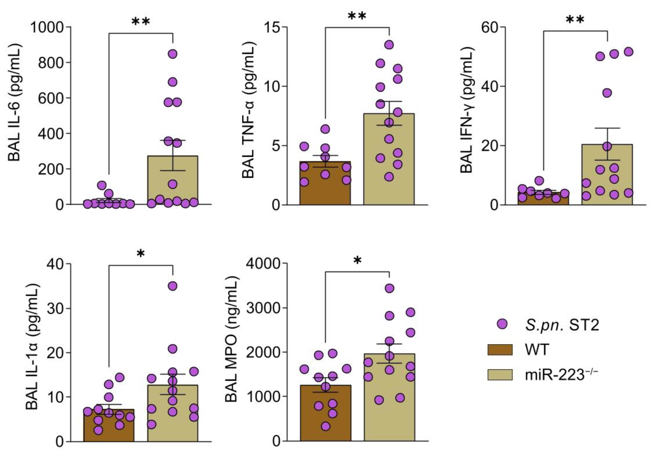 Cells 12 00959 g004 Cells 12 00959 g004