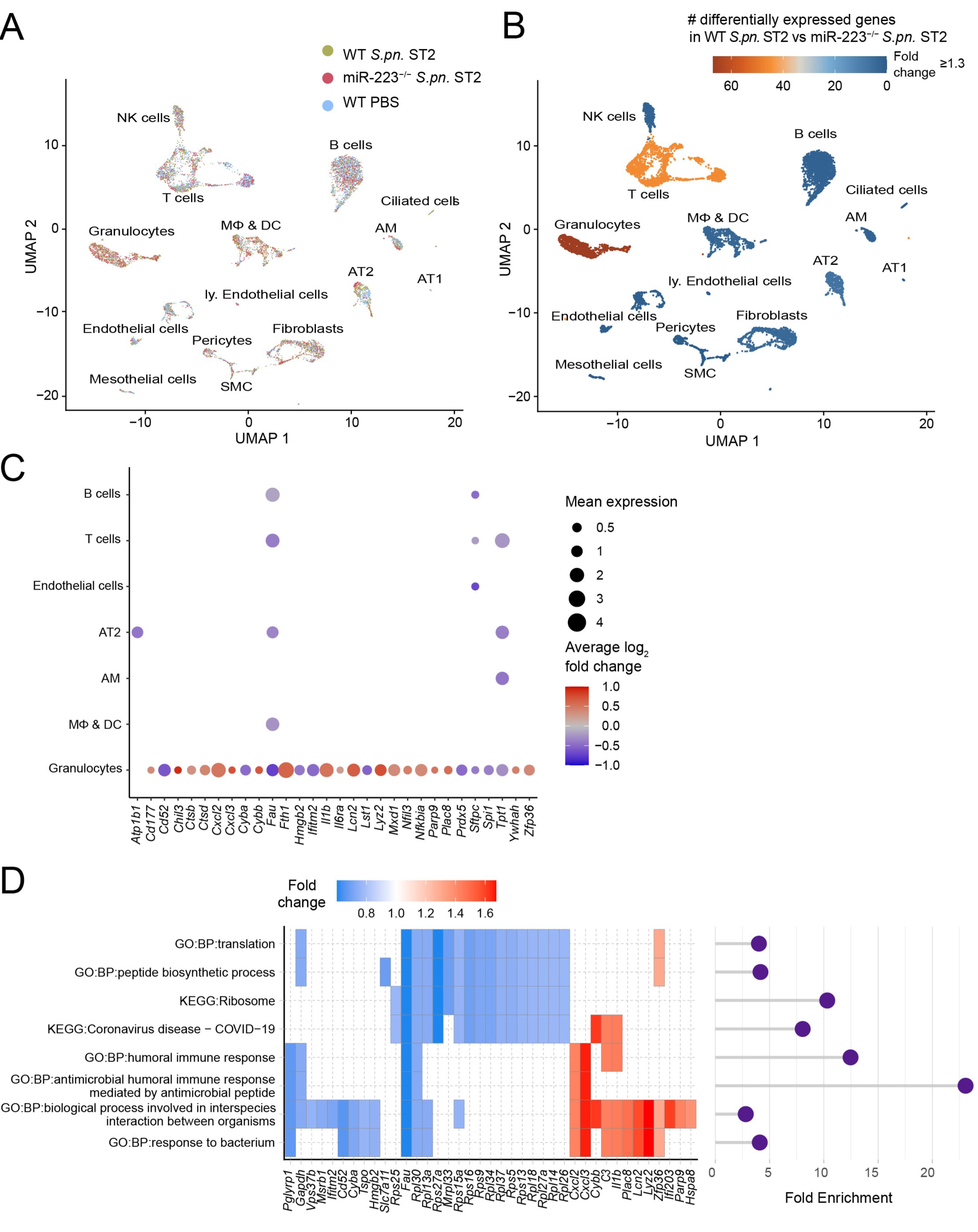 Cells 12 00959 g005 Cells 12 00959 g005