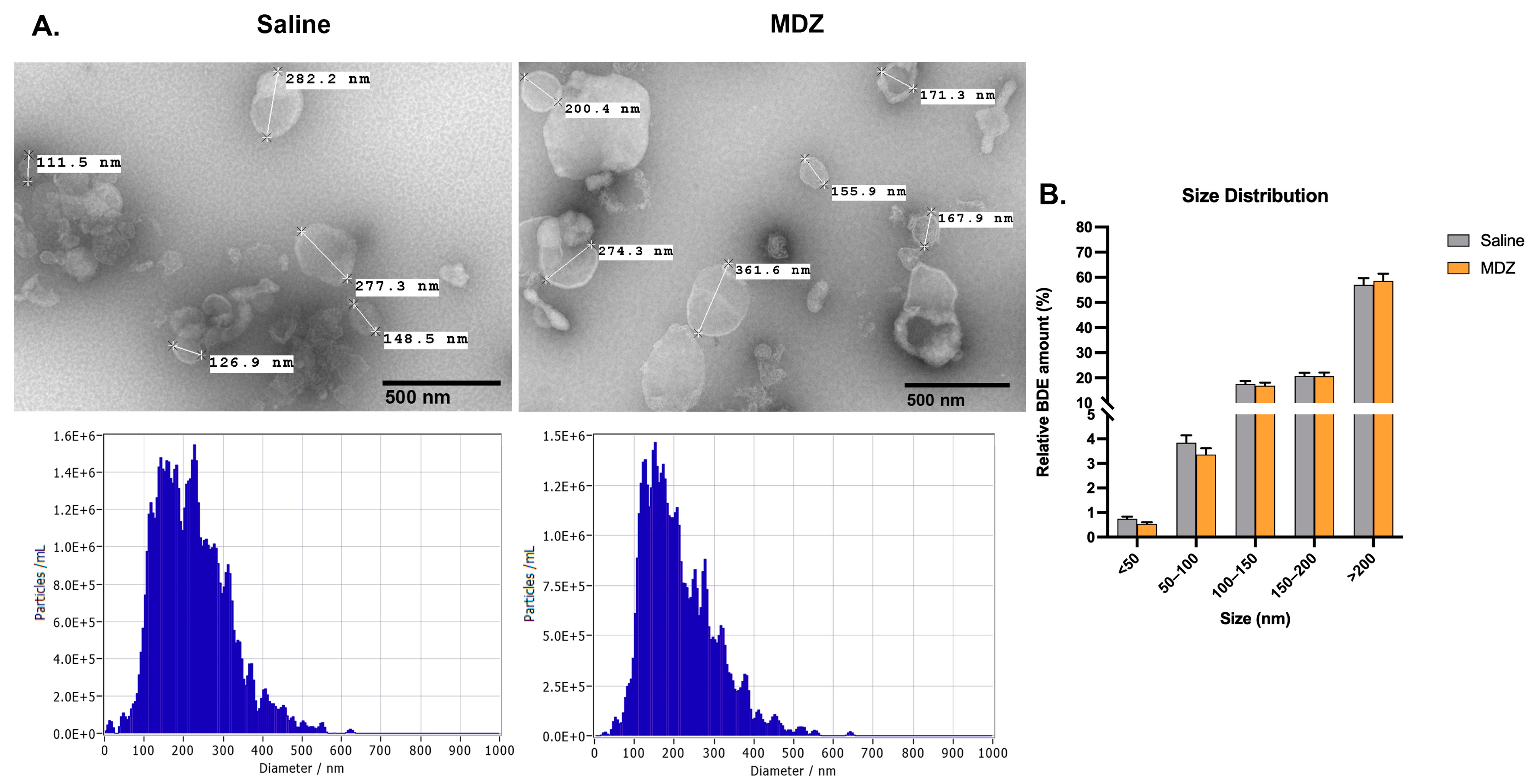 Cells 12 00966 g002 Cells 12 00966 g002
