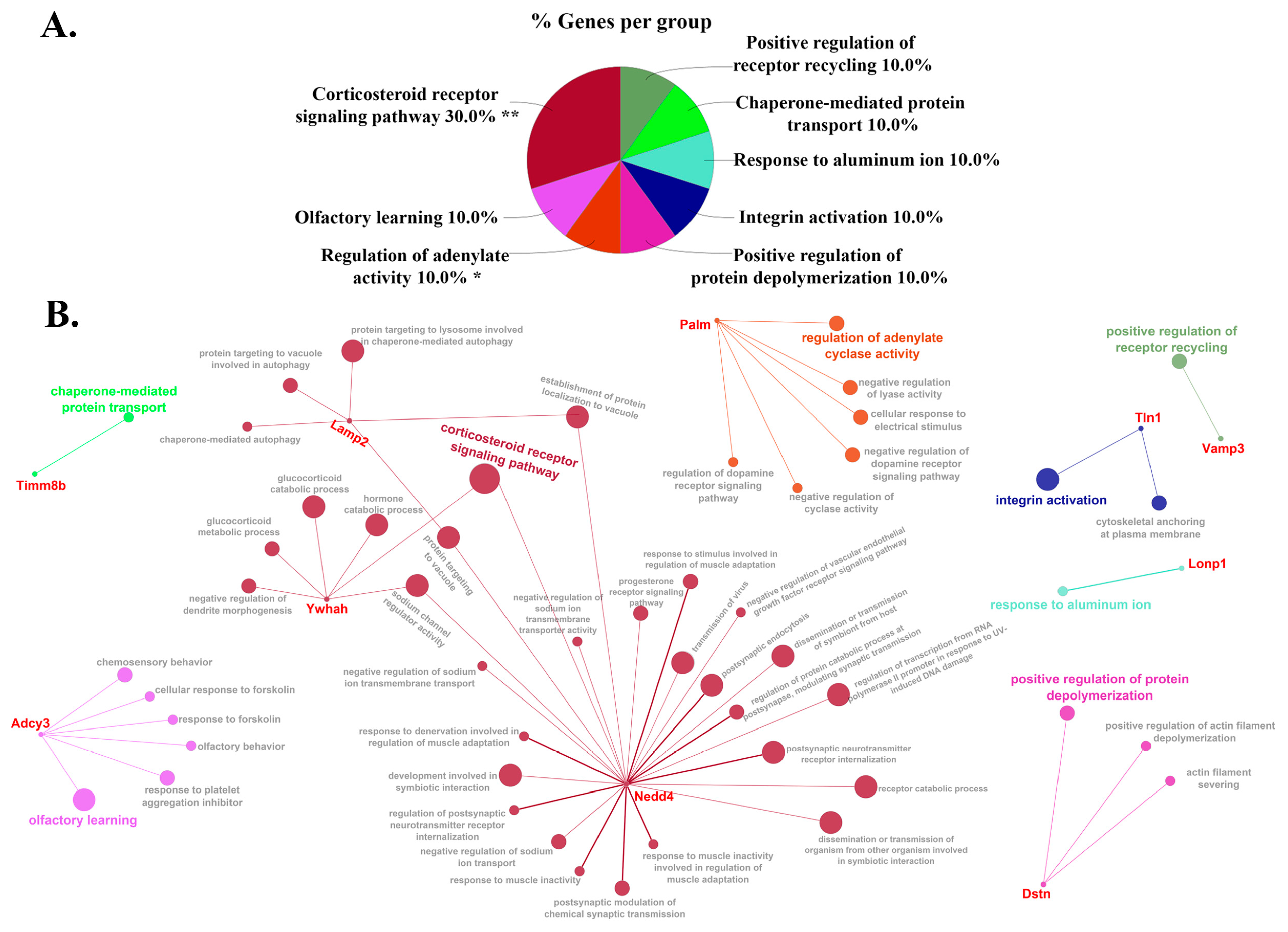 Cells 12 00966 g005 Cells 12 00966 g005