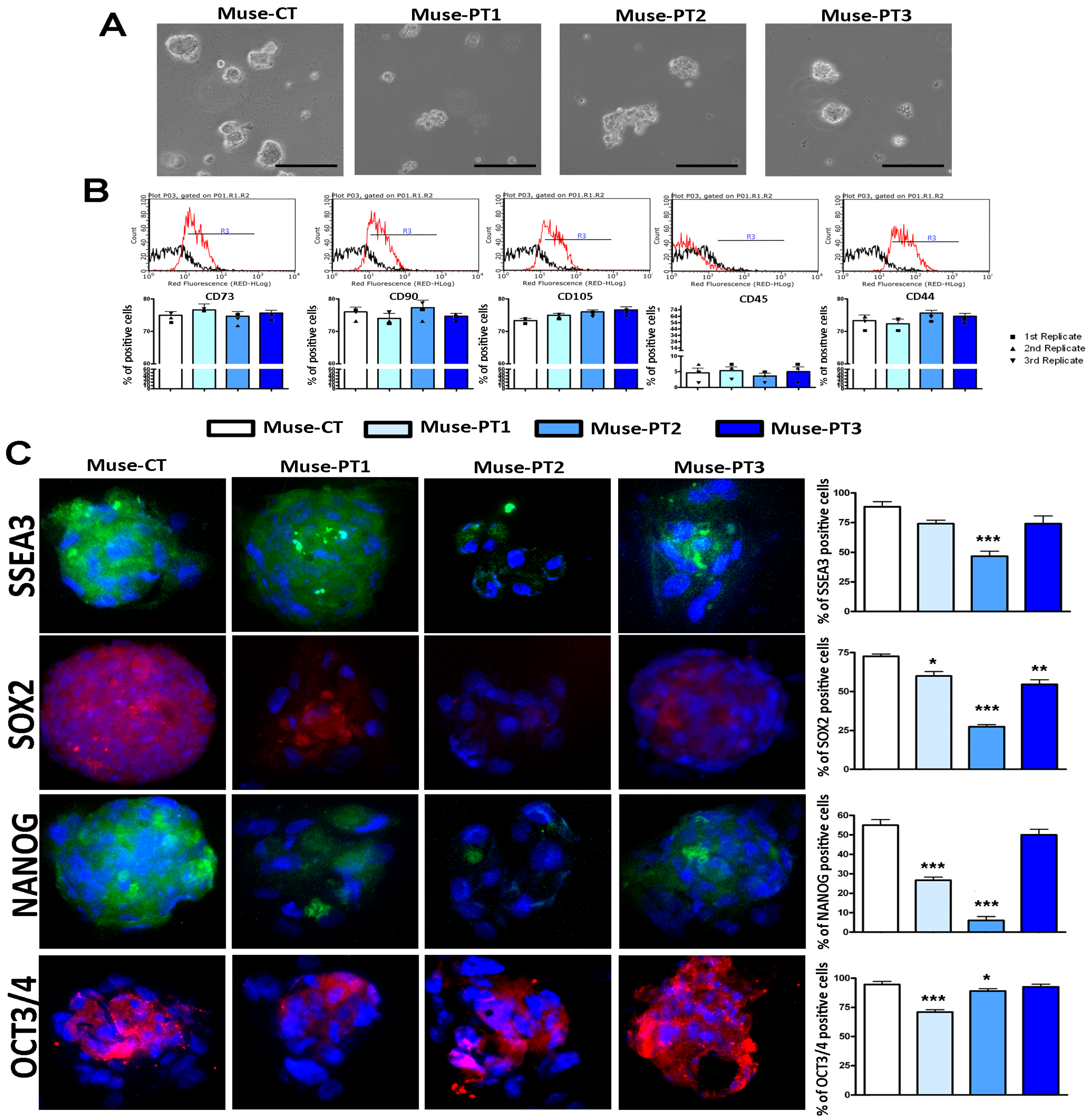 Cells 12 00977 g001 Cells 12 00977 g001