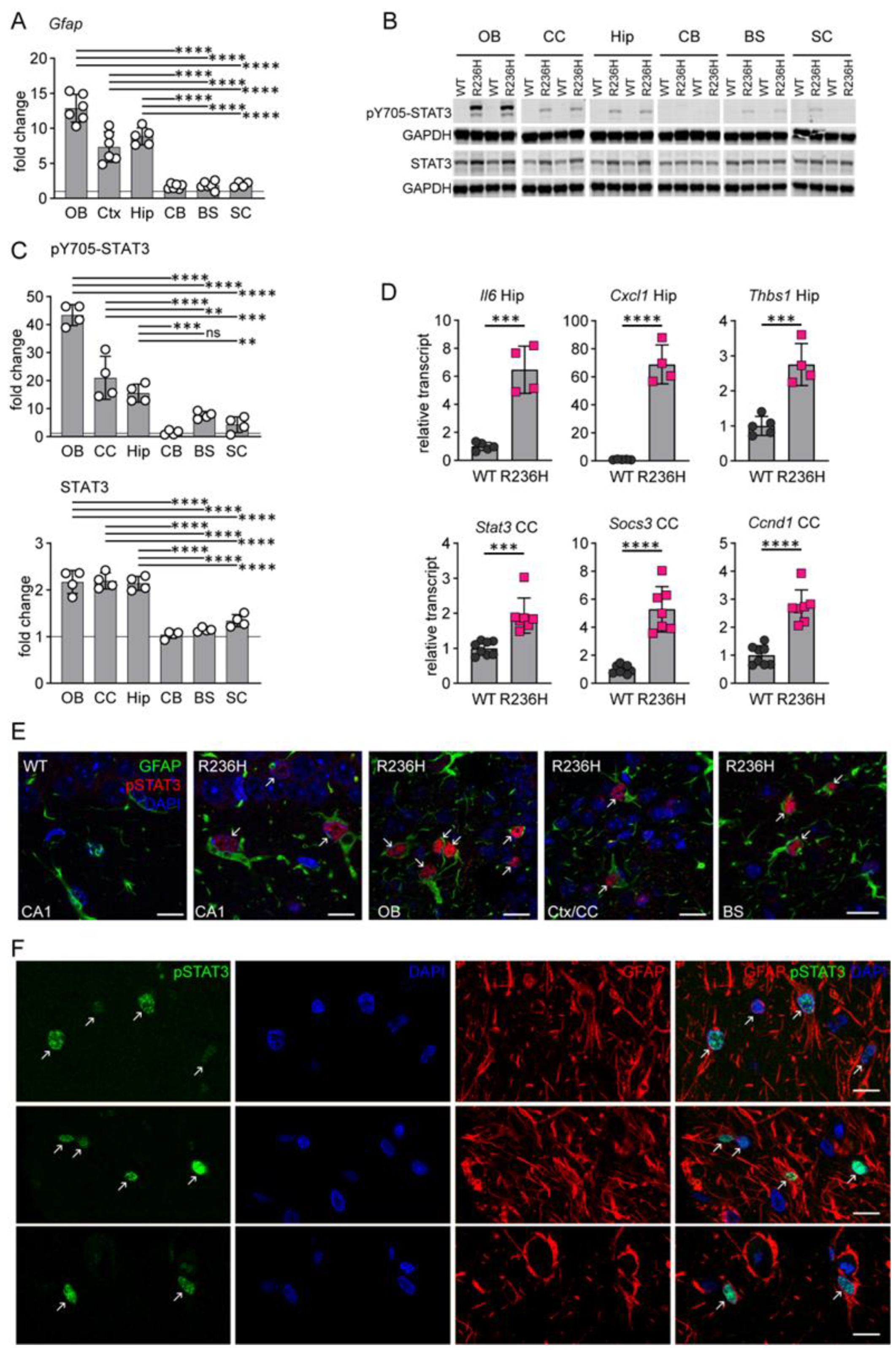 Cells 12 00978 g001