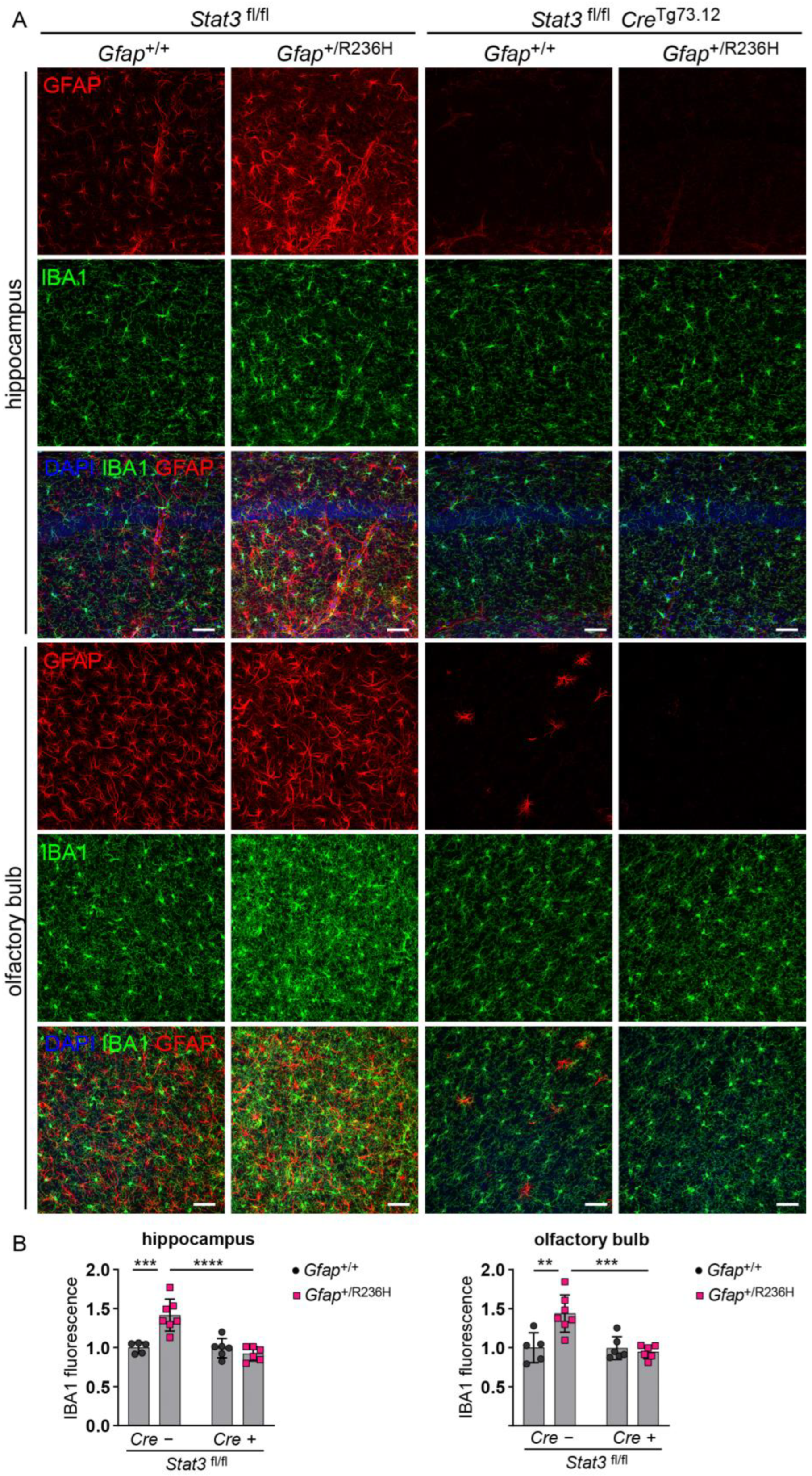 Cells 12 00978 g006
