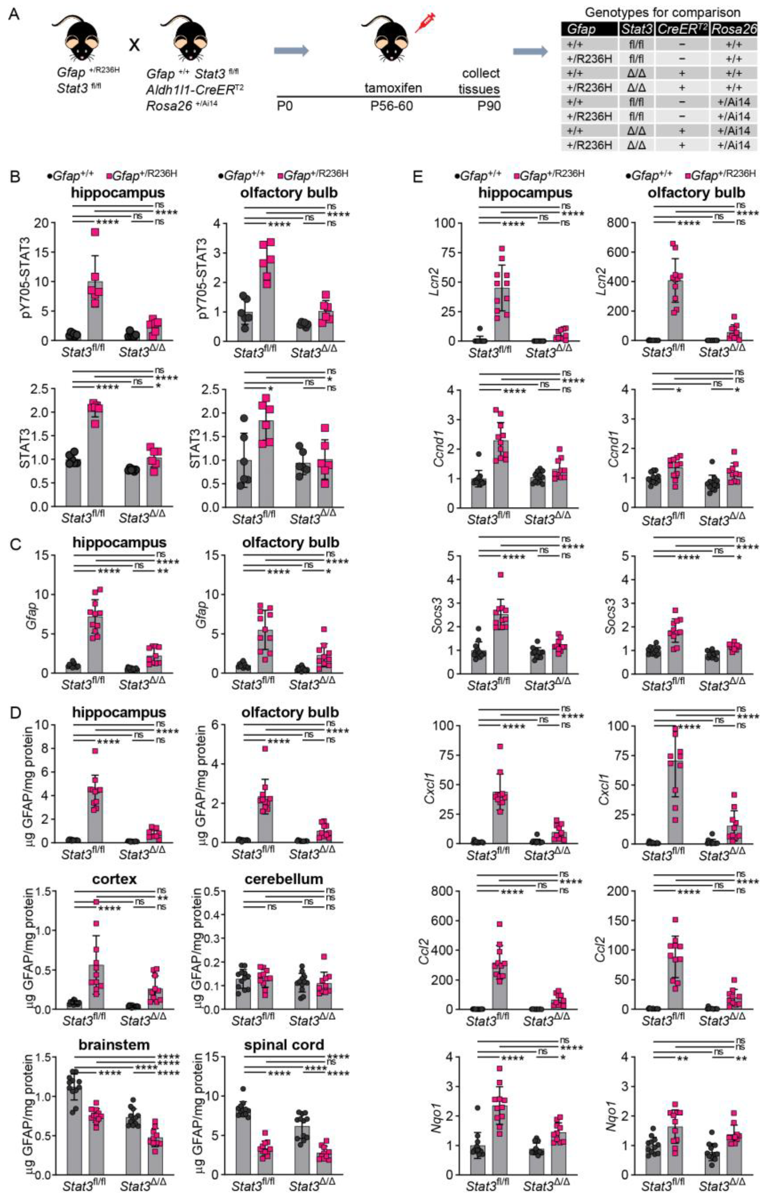 Cells 12 00978 g007