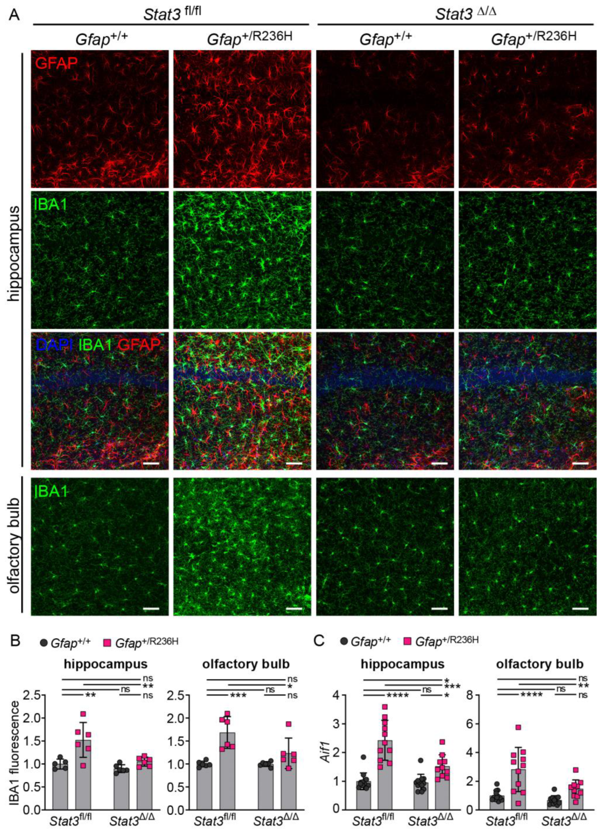 Cells 12 00978 g009