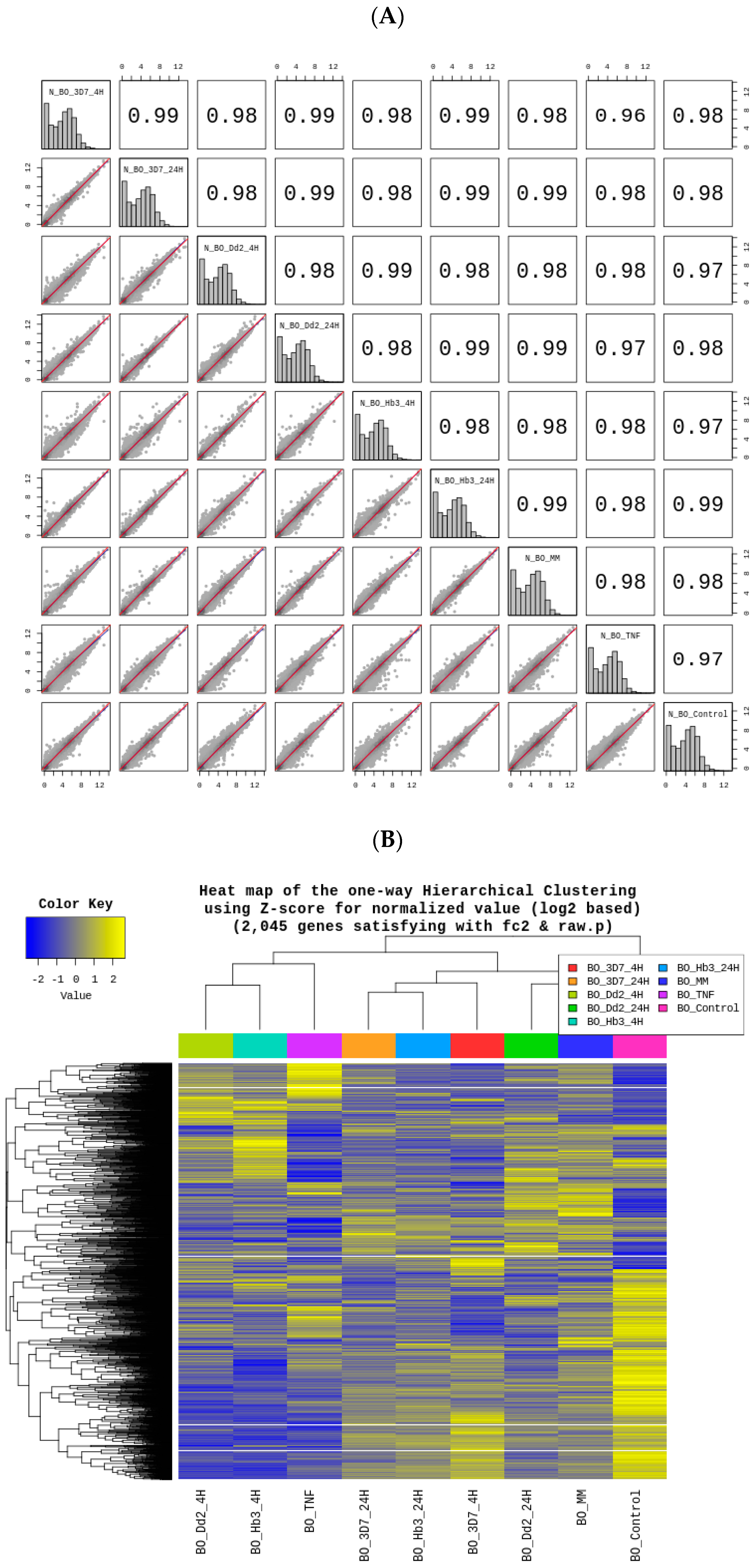Cells 12 00984 g004a