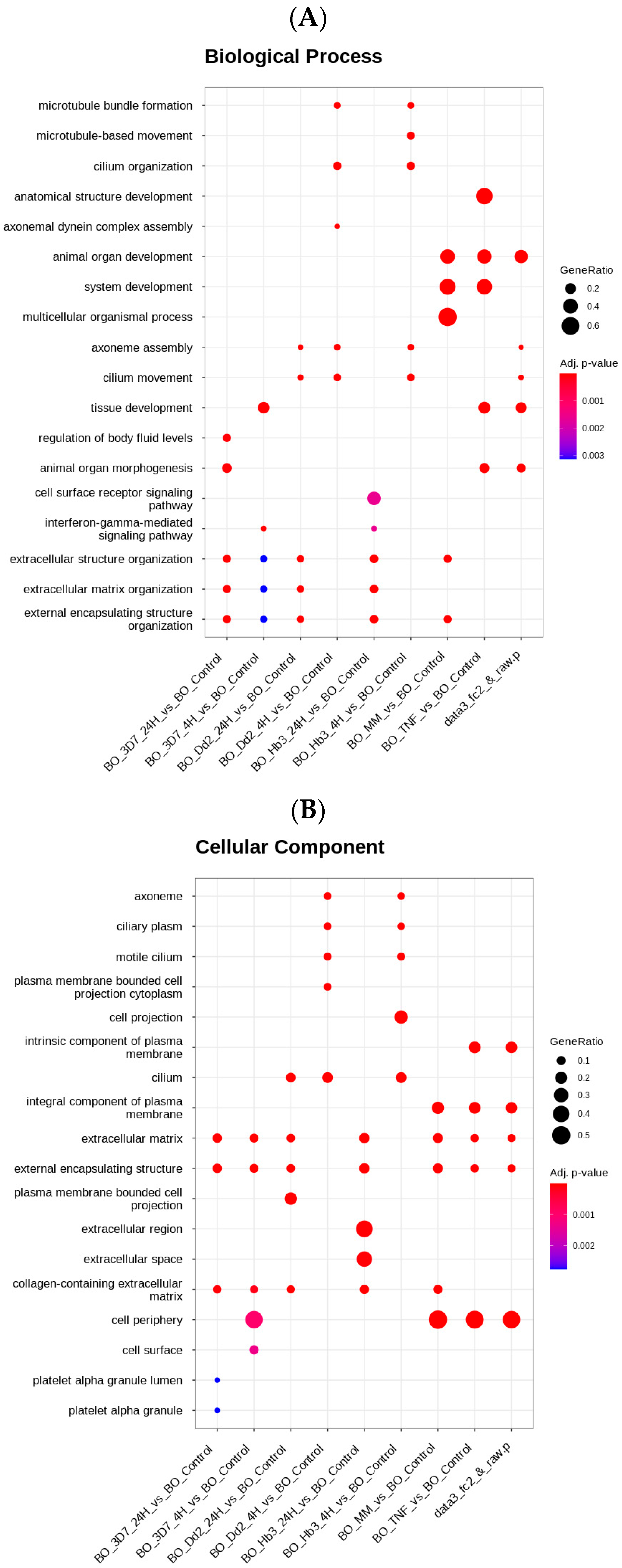 Cells 12 00984 g005a