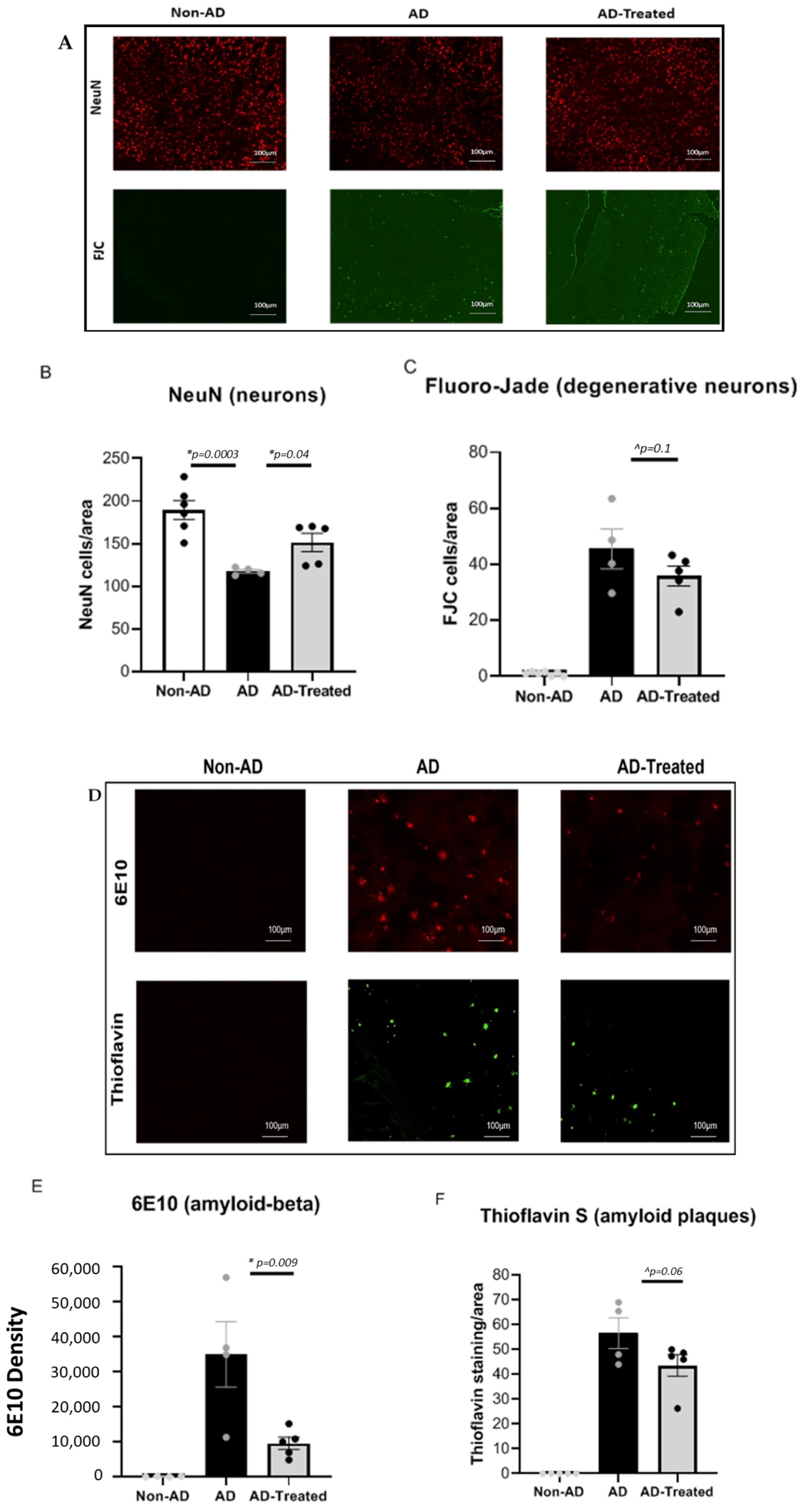 Cells 12 01006 g002 Cells 12 01006 g002
