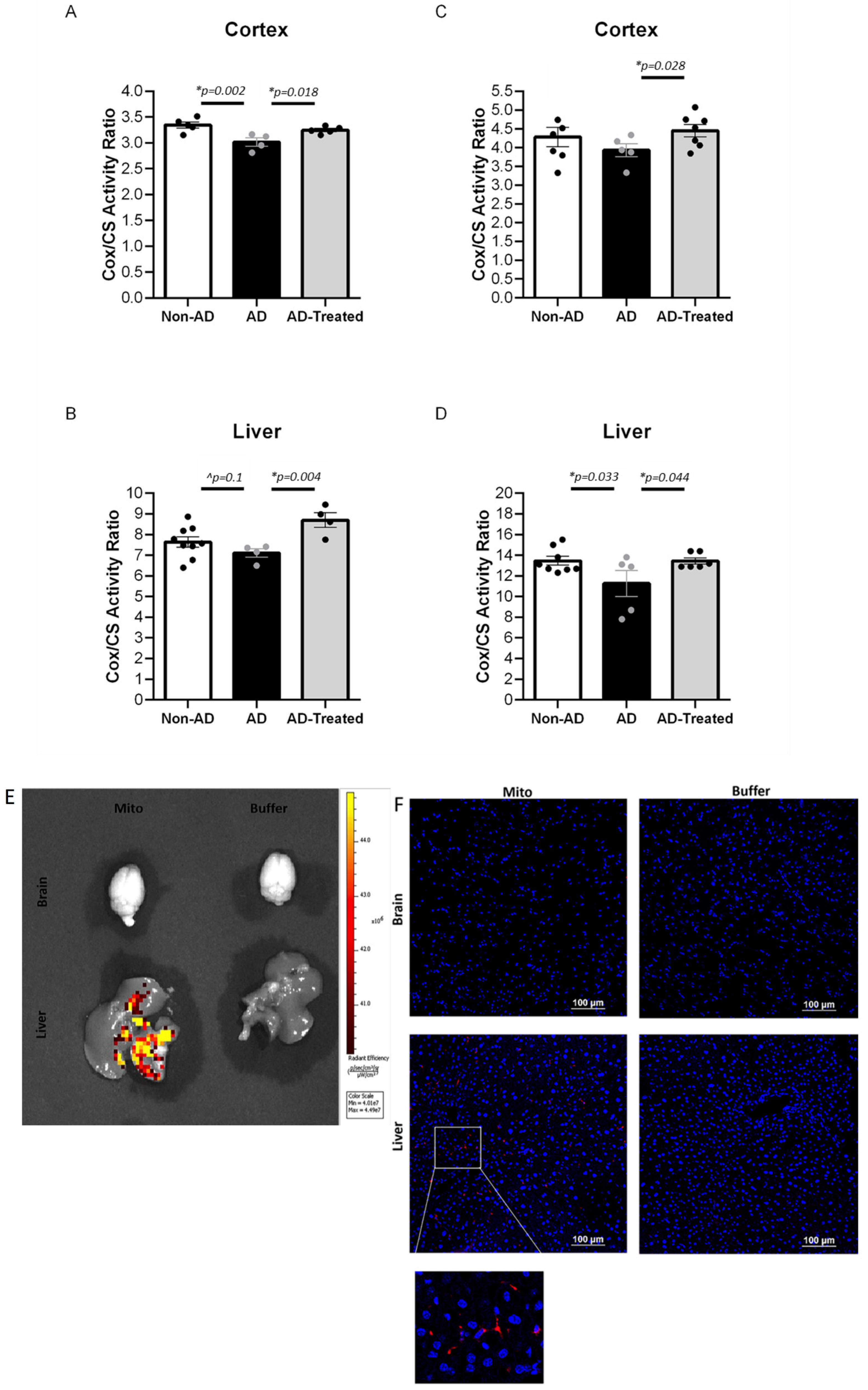 Cells 12 01006 g003 Cells 12 01006 g003