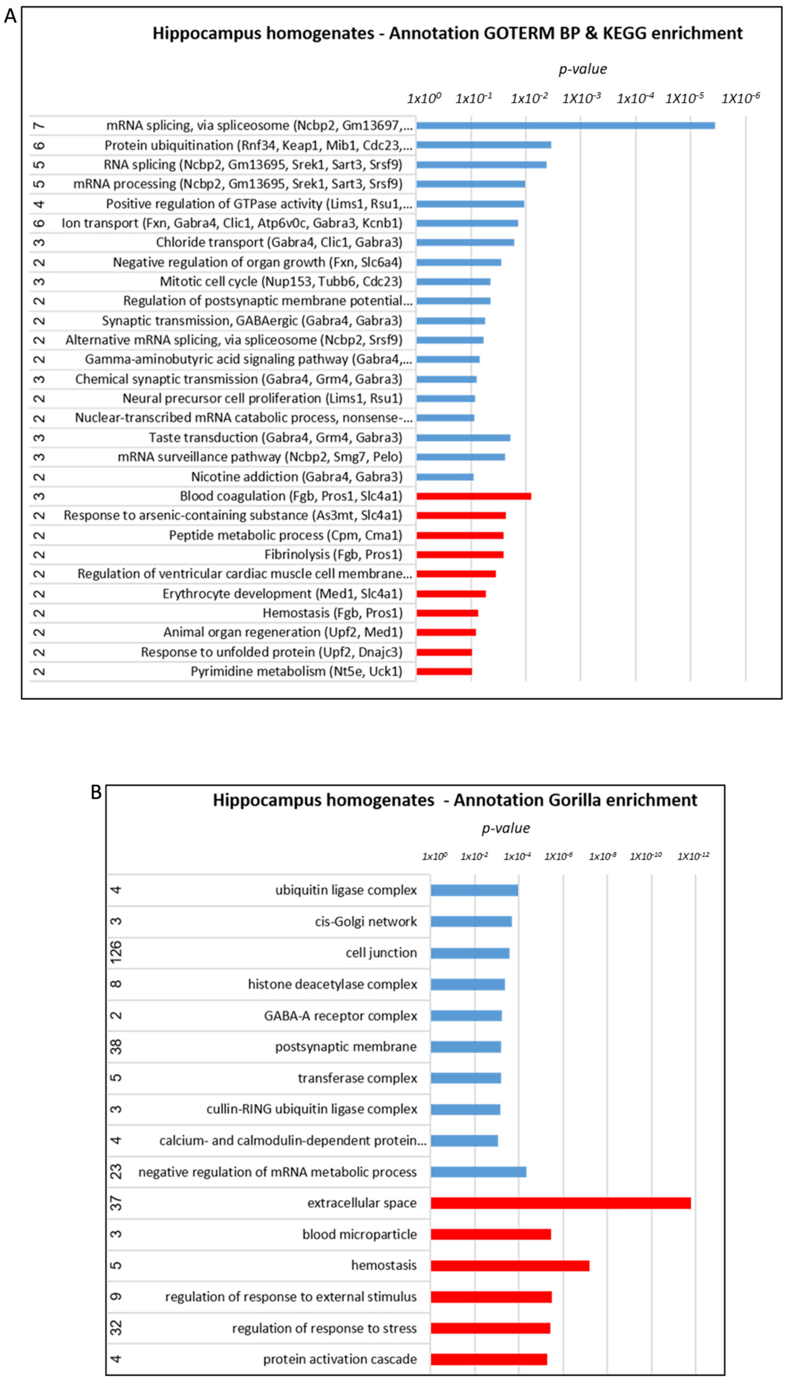Cells 12 01006 g005 Cells 12 01006 g005