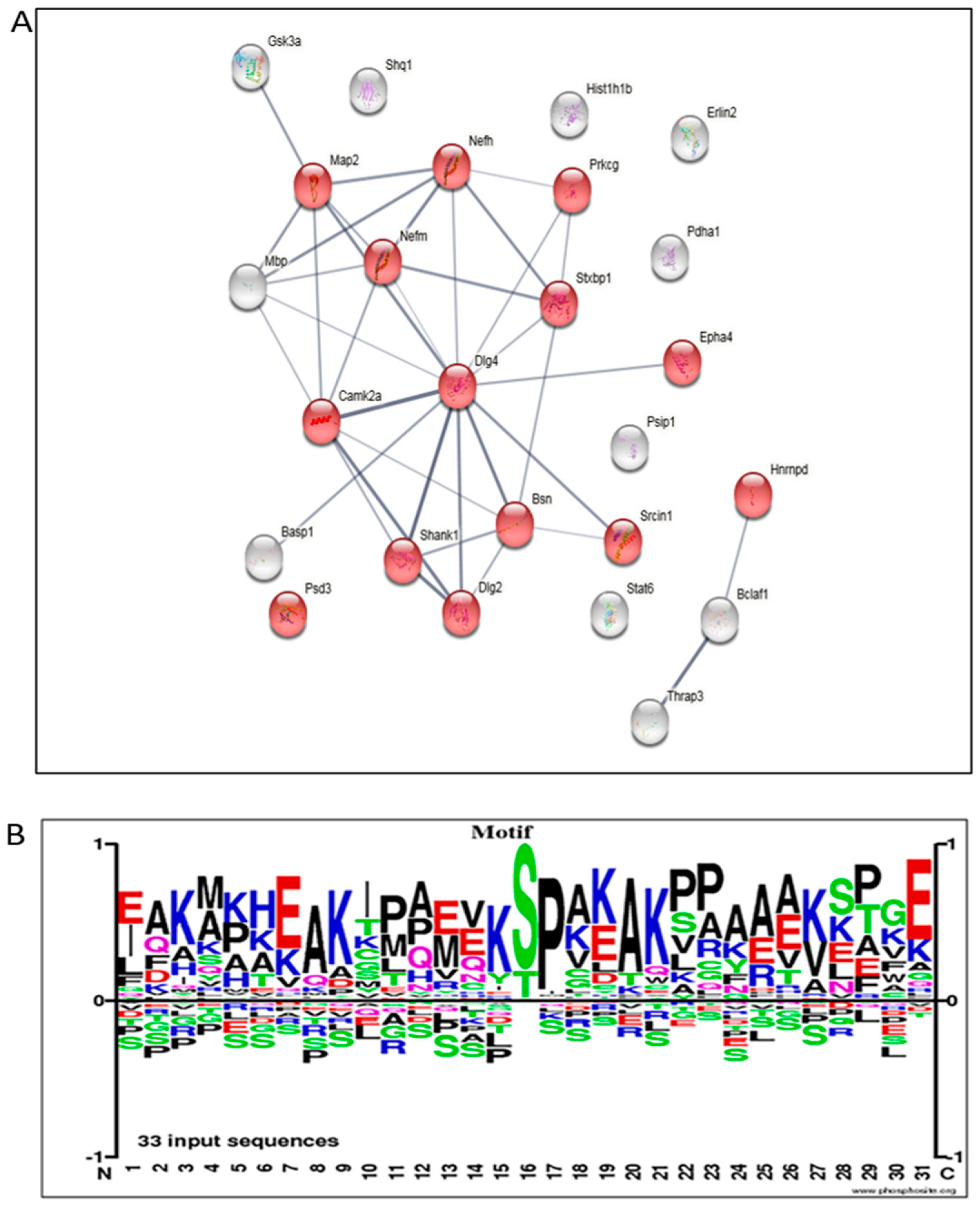 Cells 12 01006 g007 Cells 12 01006 g007
