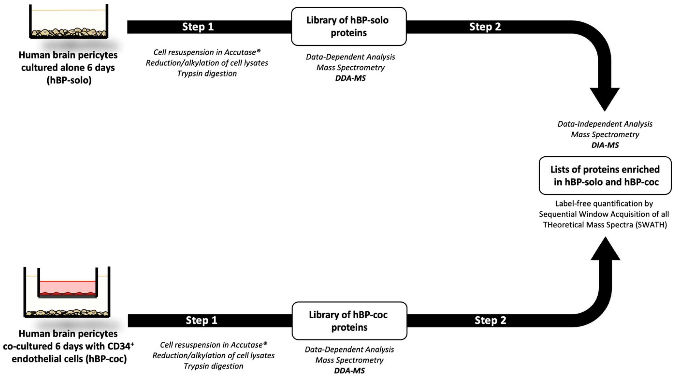 Cells 12 01010 g001 Cells 12 01010 g001