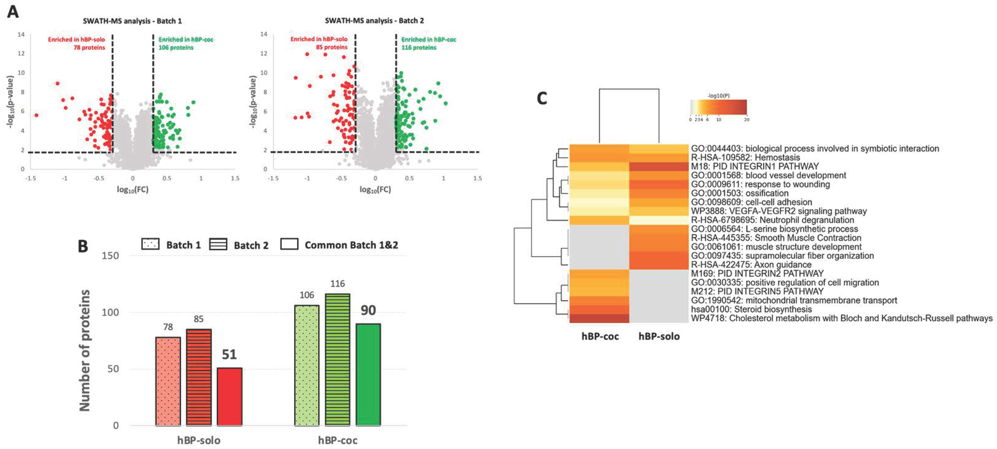 Cells 12 01010 g003 Cells 12 01010 g003