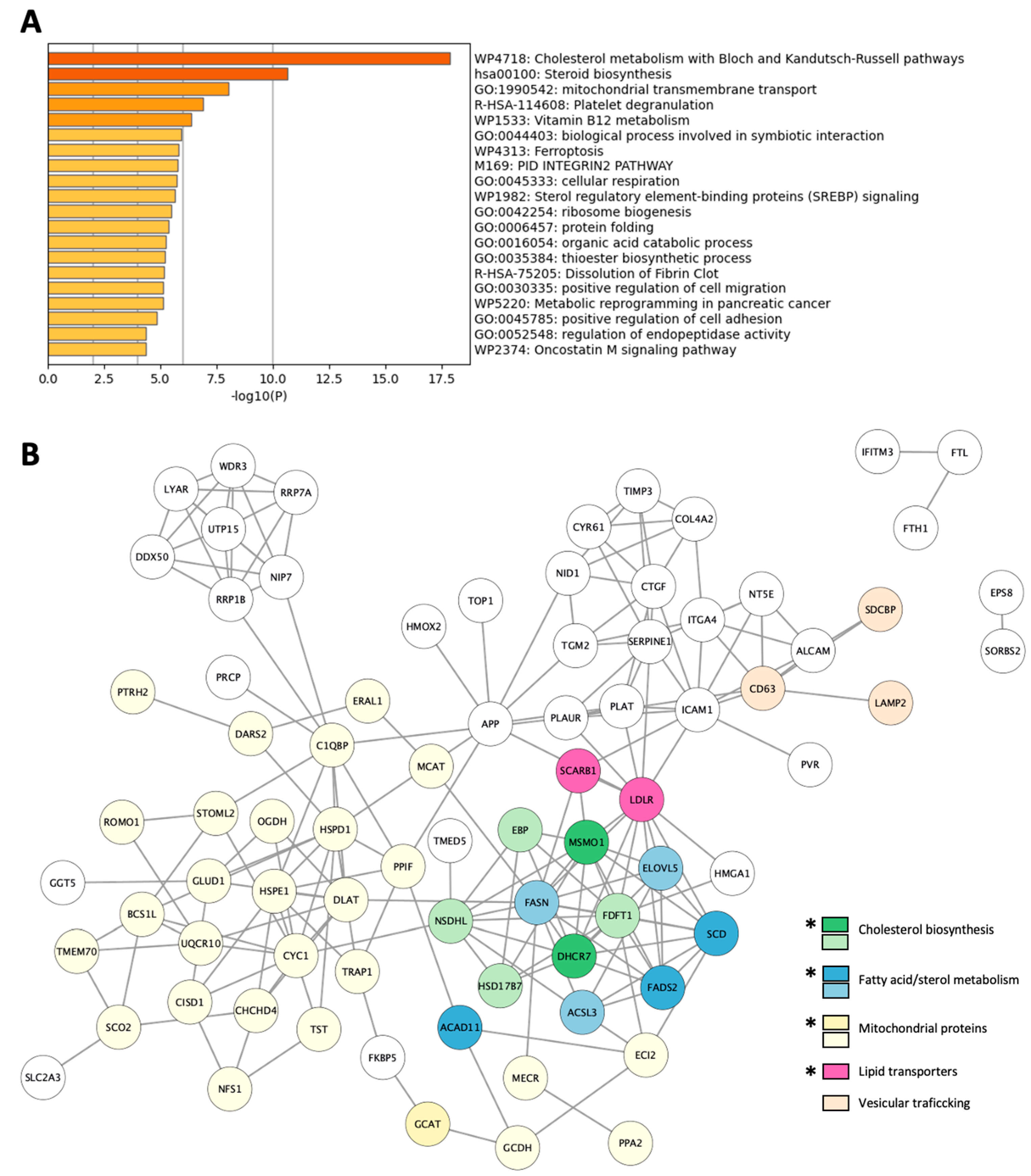 Cells 12 01010 g005 Cells 12 01010 g005