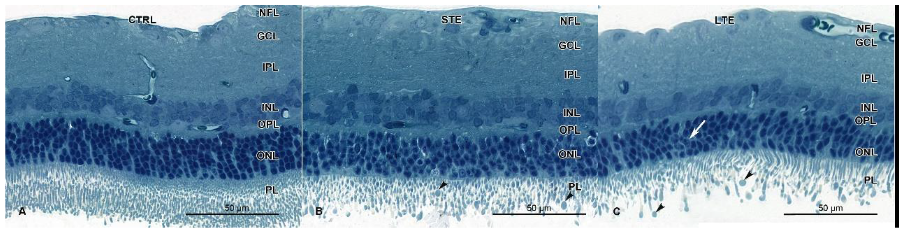 Cells 12 01014 g005 Cells 12 01014 g005