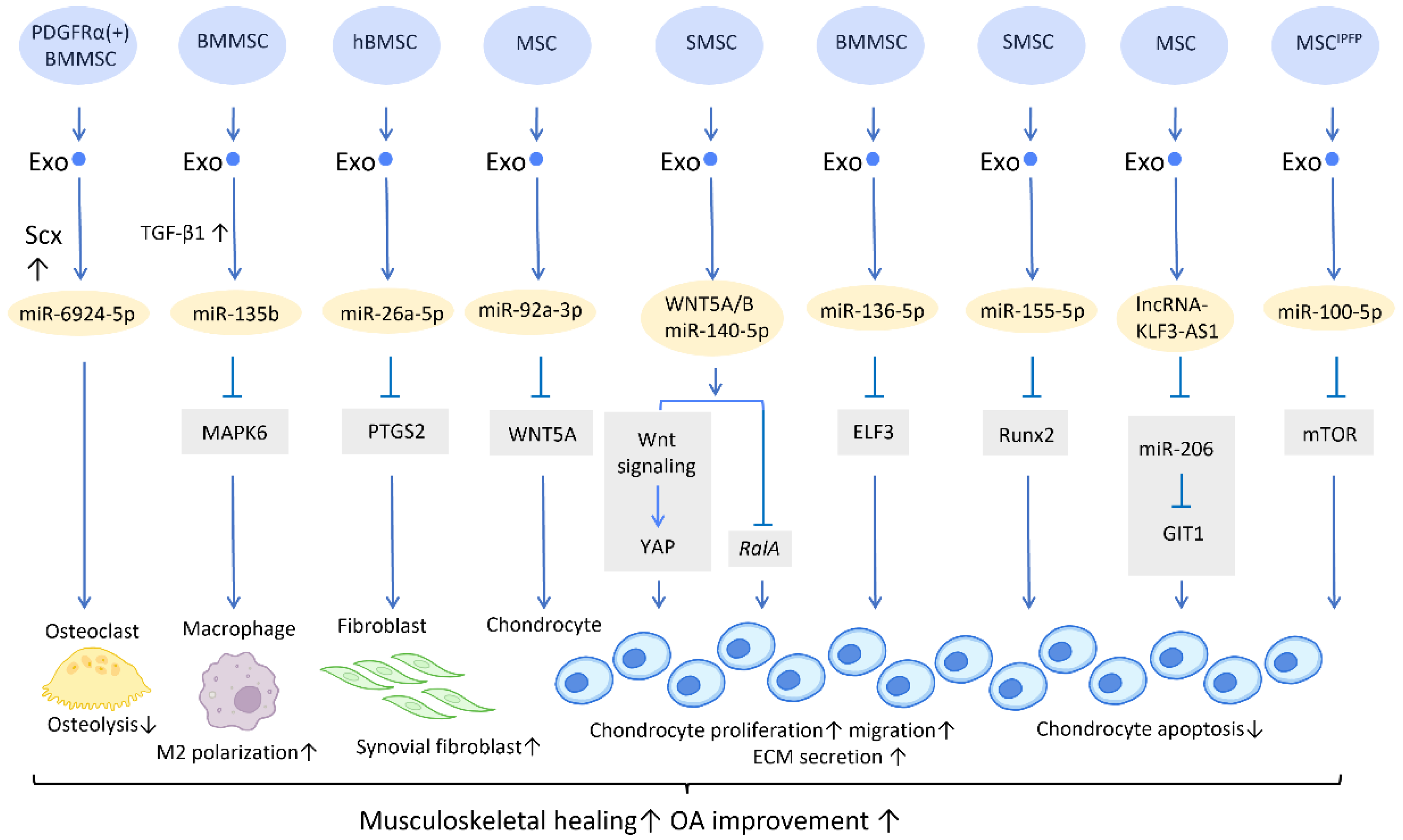 Cells 12 01018 g001 Cells 12 01018 g001