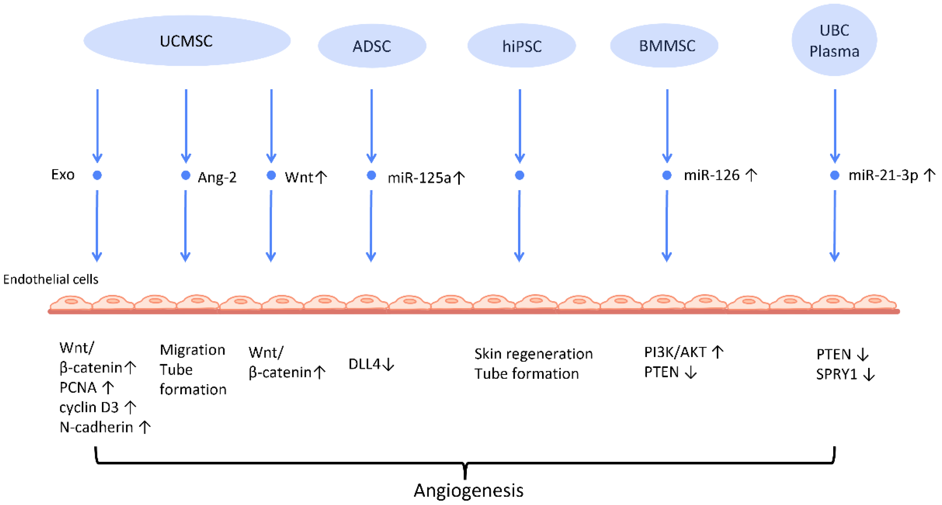 Cells 12 01018 g002 Cells 12 01018 g002