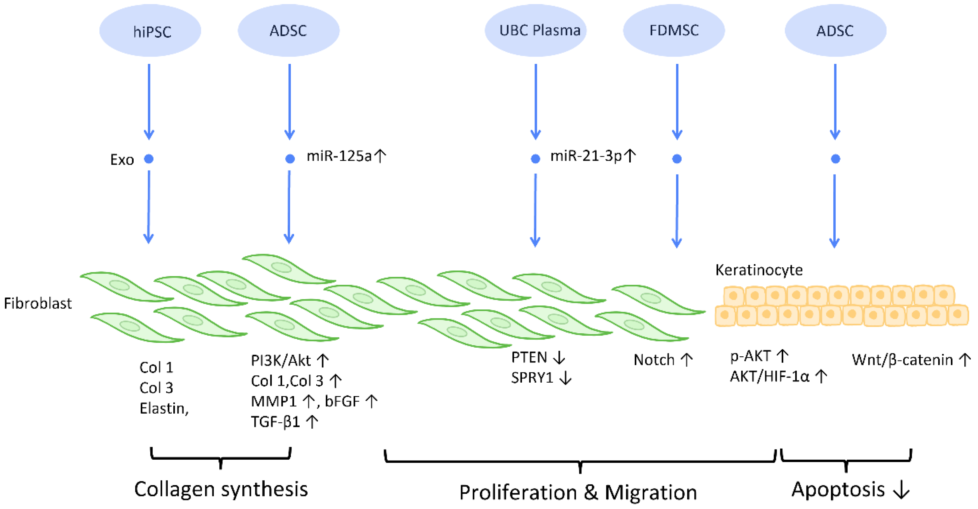 Cells 12 01018 g003 Cells 12 01018 g003