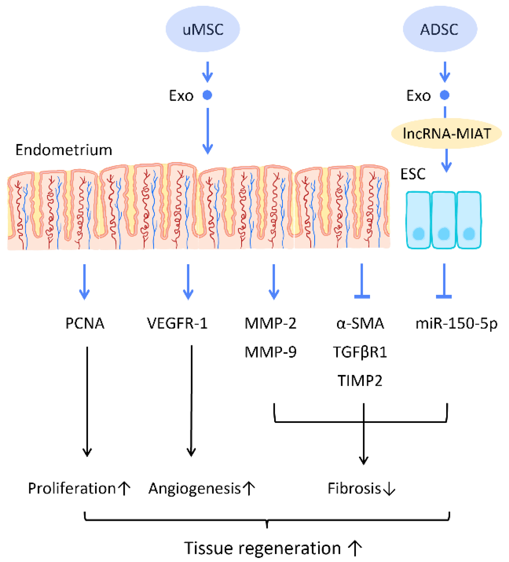 Cells 12 01018 g006 Cells 12 01018 g006