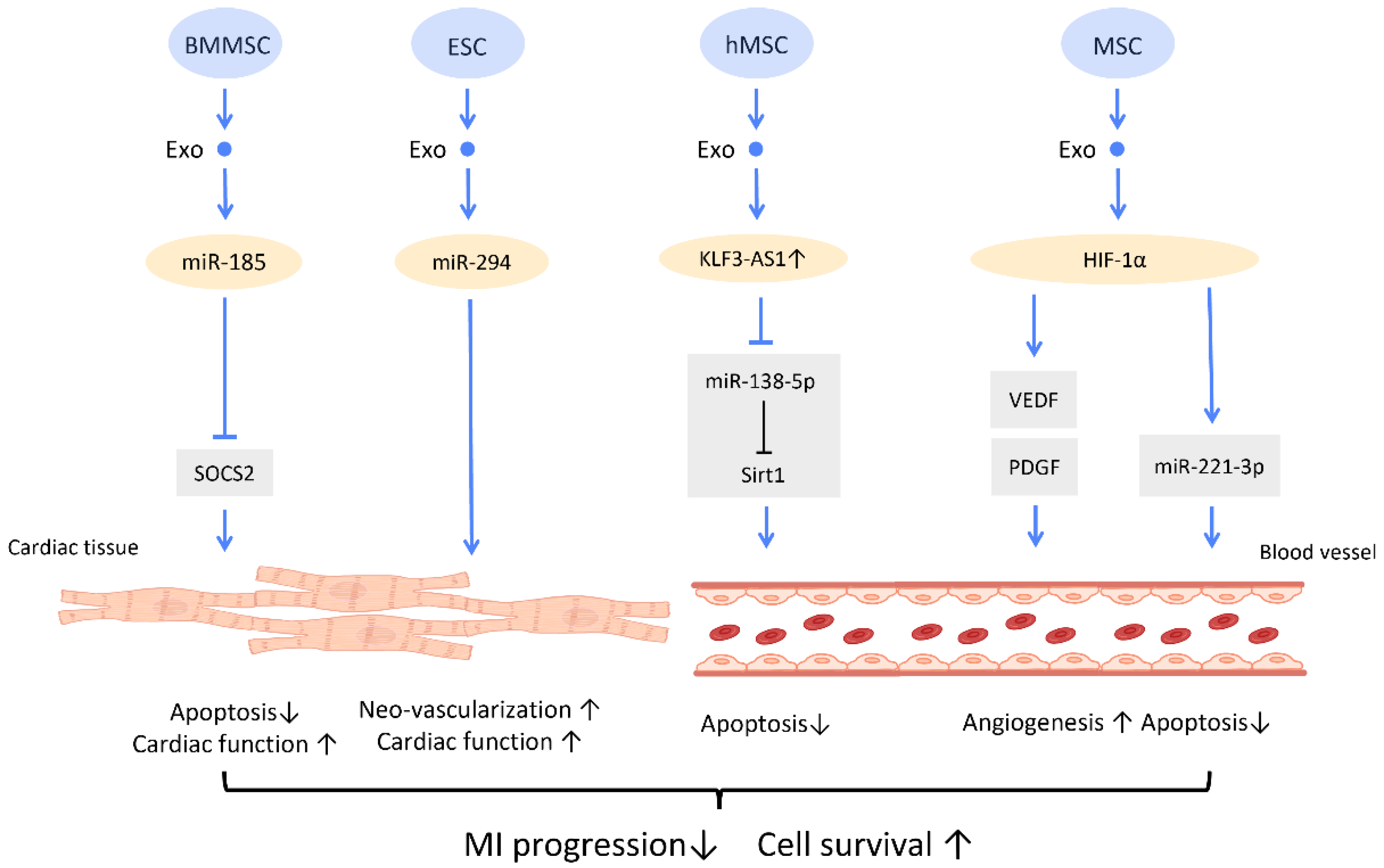 Cells 12 01018 g008 Cells 12 01018 g008