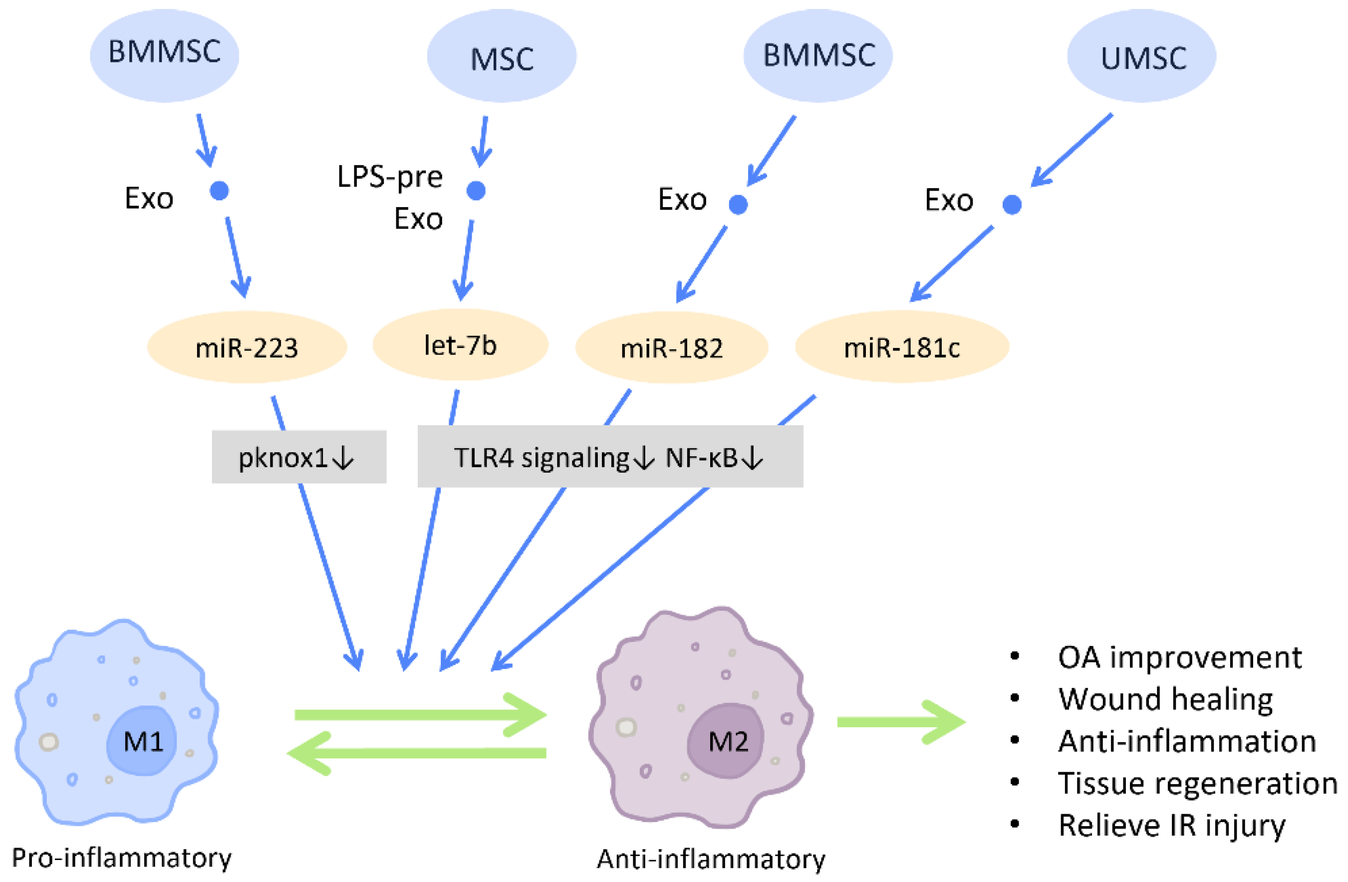Cells 12 01018 g009 Cells 12 01018 g009