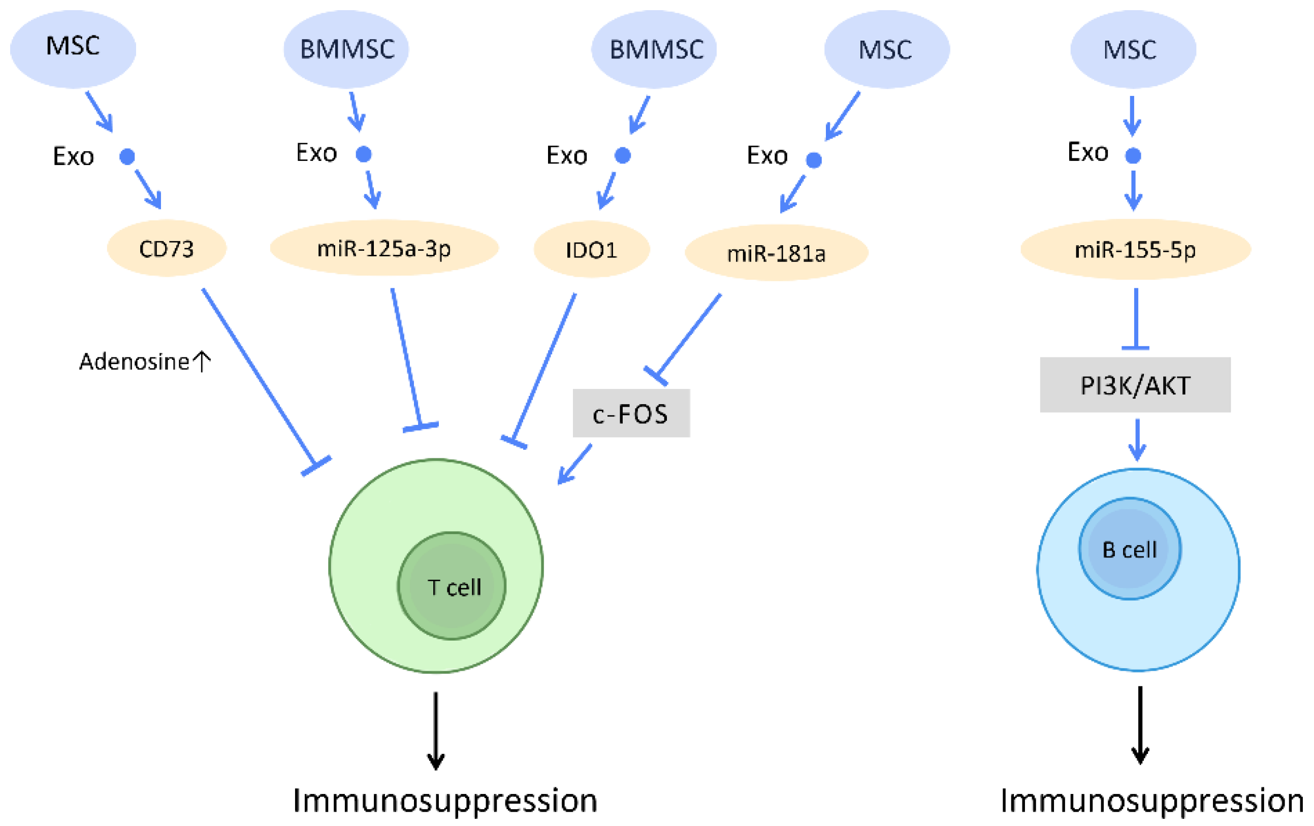 Cells 12 01018 g010 Cells 12 01018 g010