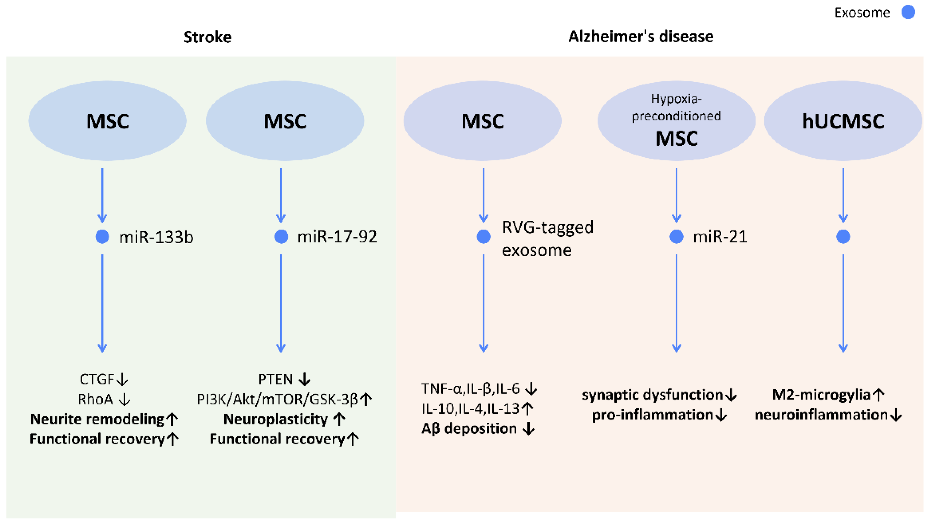 Cells 12 01018 g011 Cells 12 01018 g011