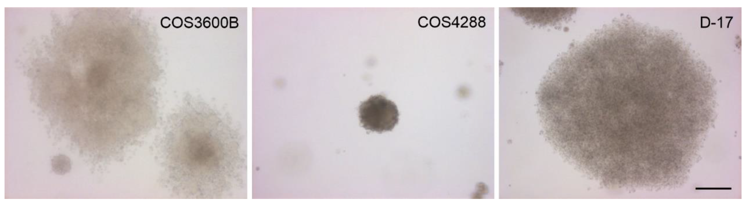 Cells 12 01026 g002 Cells 12 01026 g002