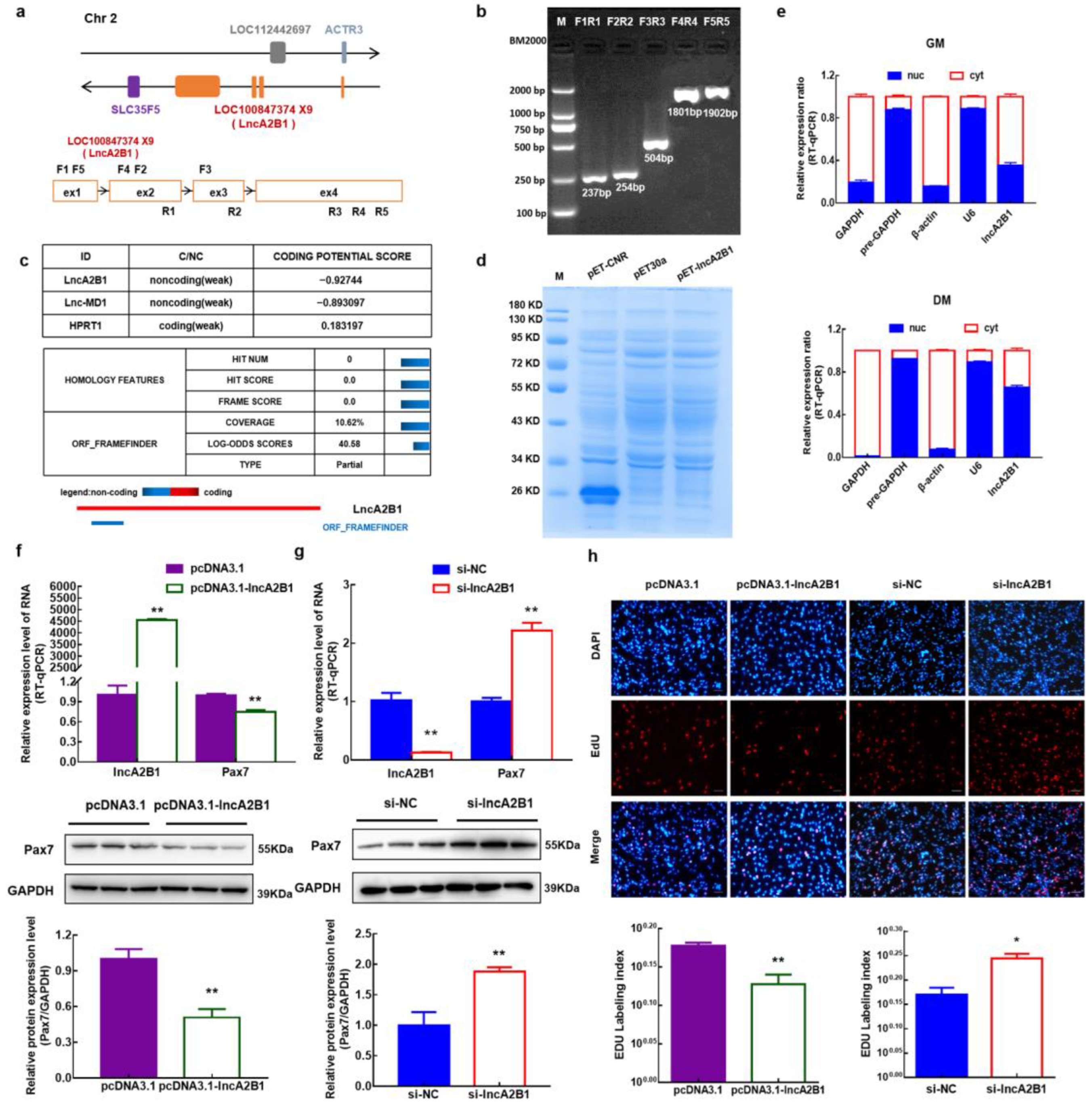 Cells 12 01028 g002 Cells 12 01028 g002