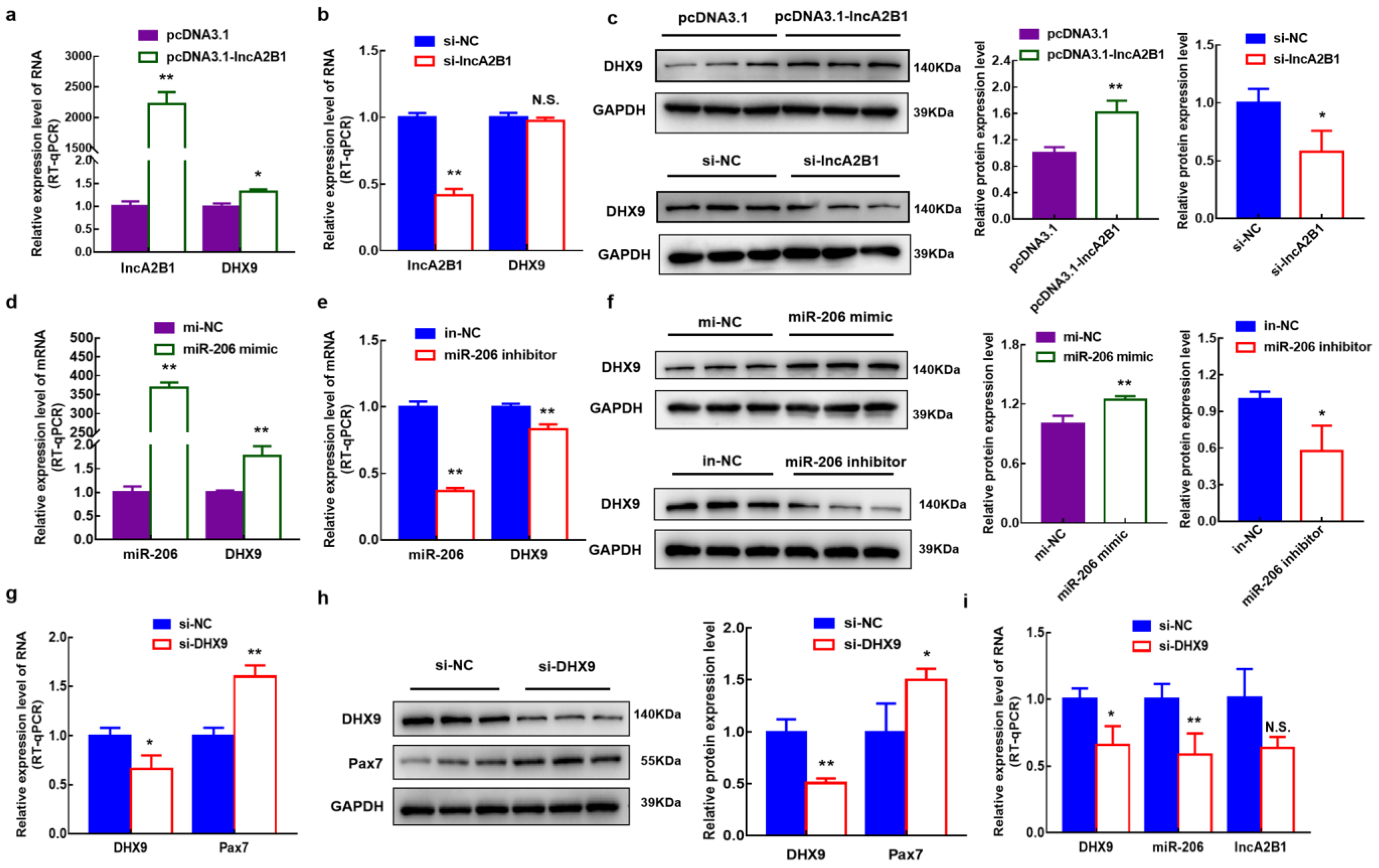 Cells 12 01028 g0a2 Cells 12 01028 g0a2