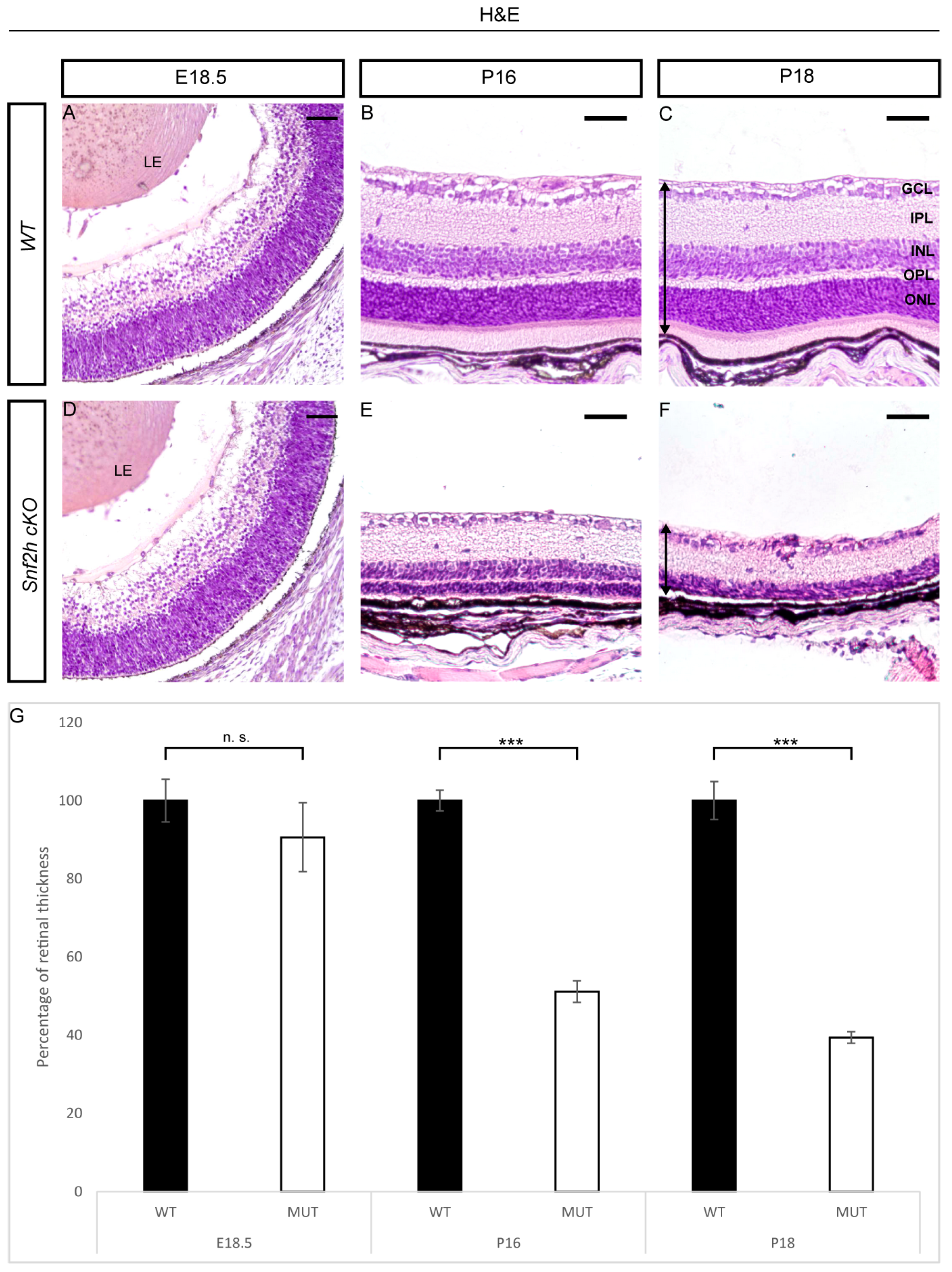 Cells 12 01035 g002 Cells 12 01035 g002