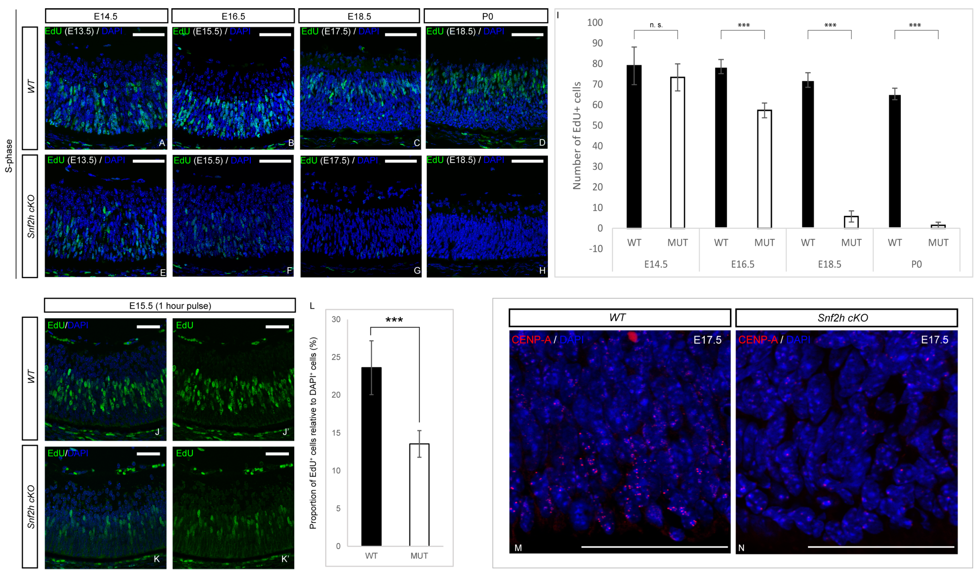 Cells 12 01035 g006 Cells 12 01035 g006