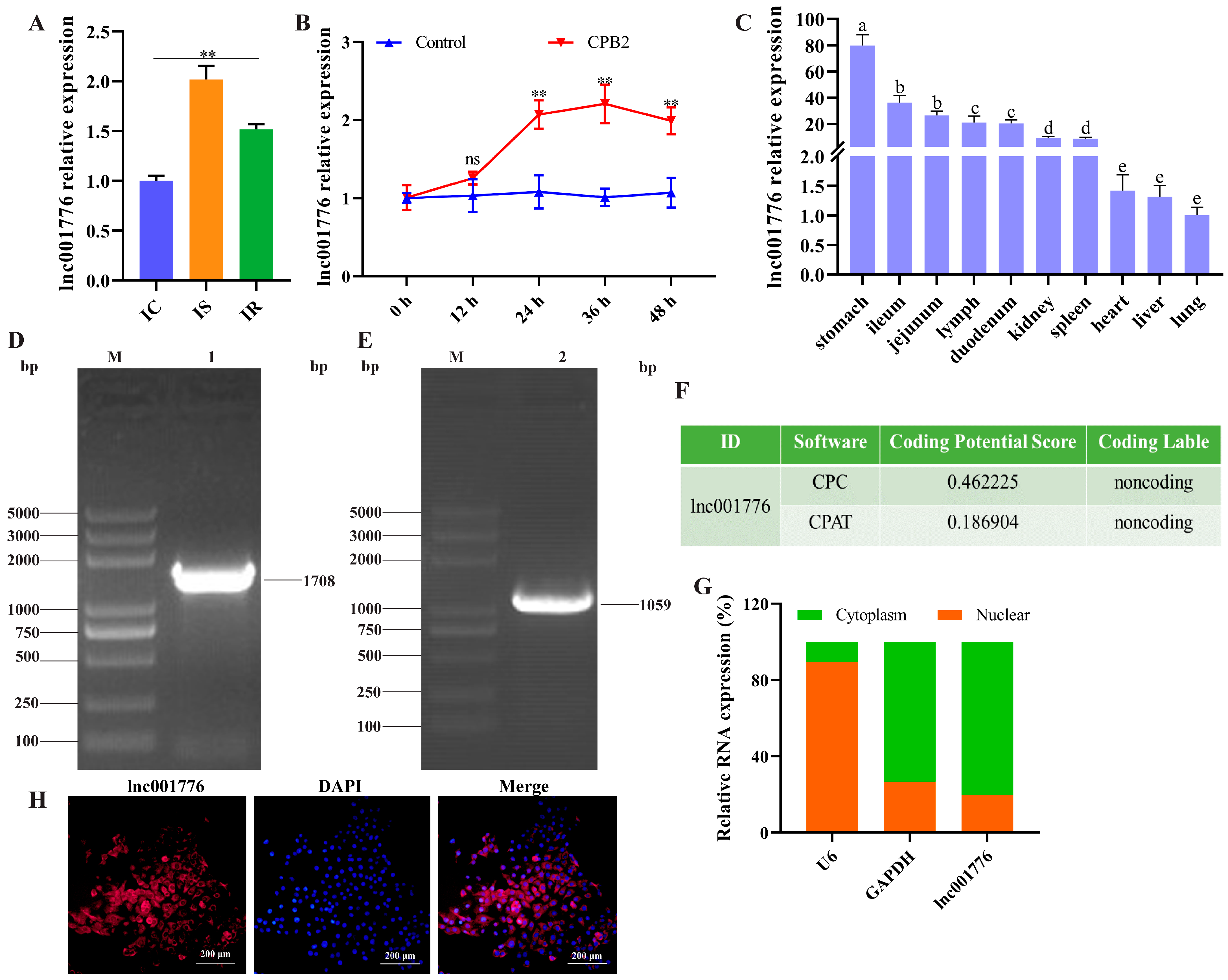 Cells 12 01036 g001 Cells 12 01036 g001