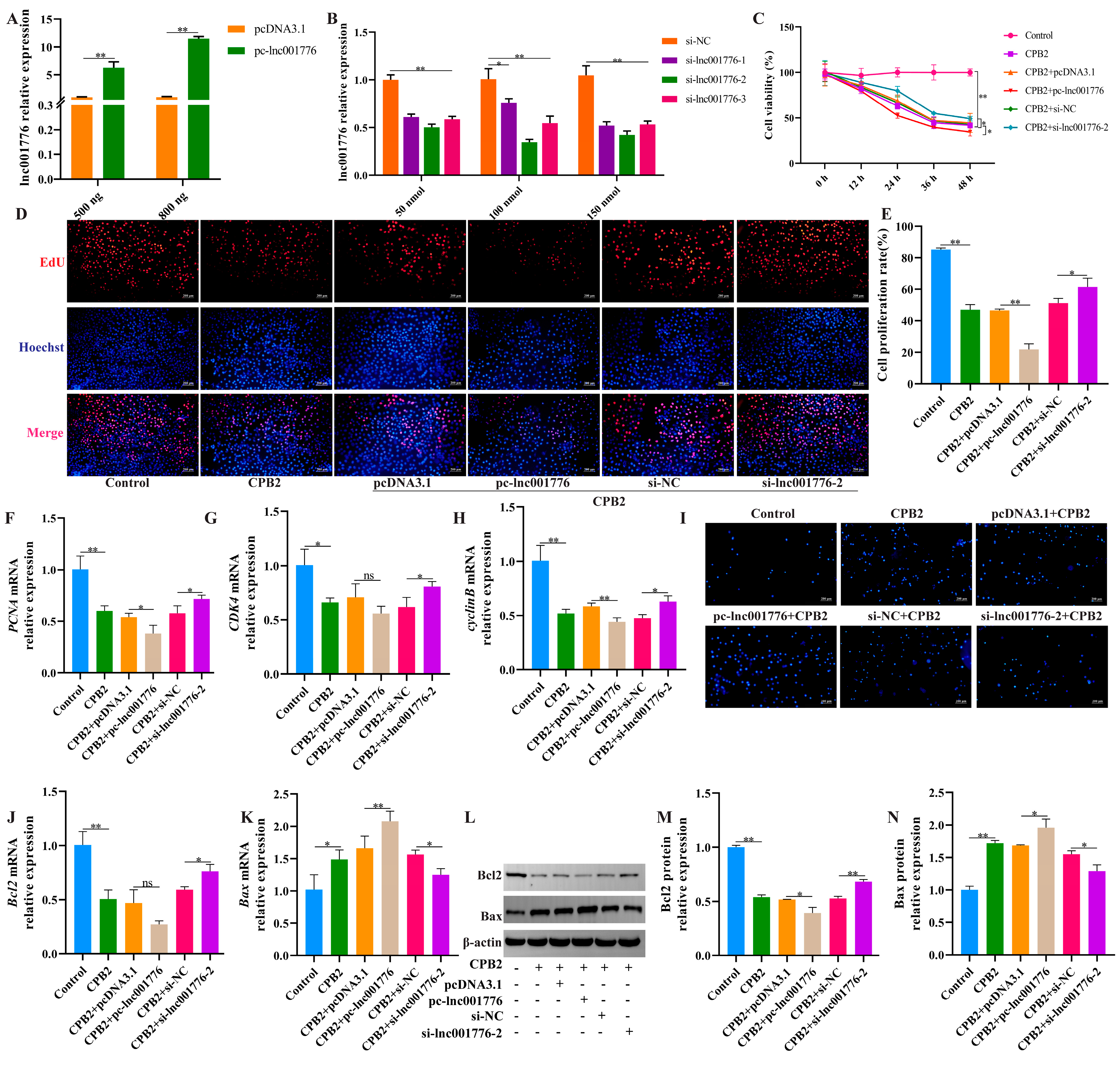 Cells 12 01036 g002 Cells 12 01036 g002